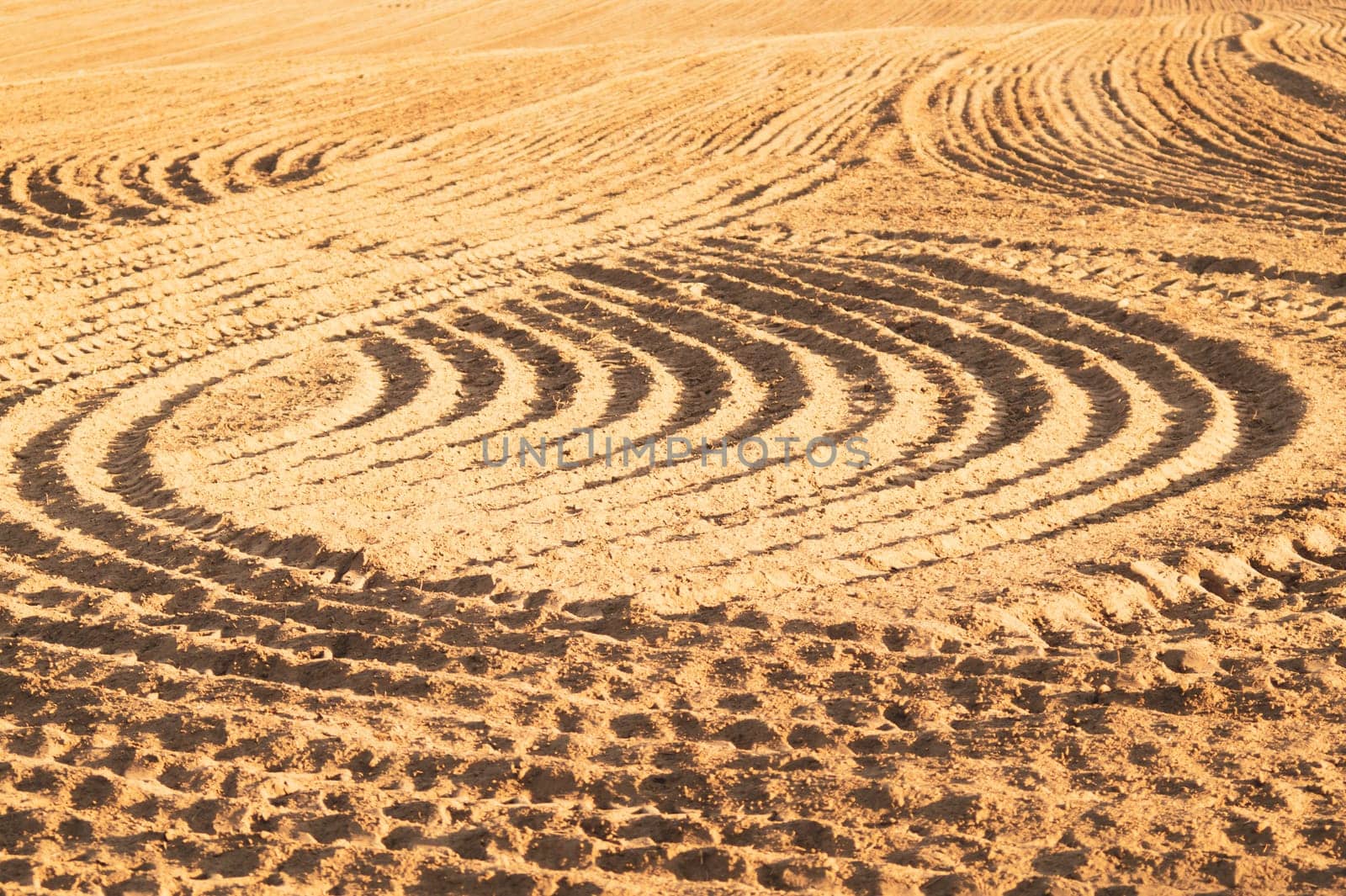 Pattern of curved ridges and furrows on a sandy field. traces on the sand. tractor tracks