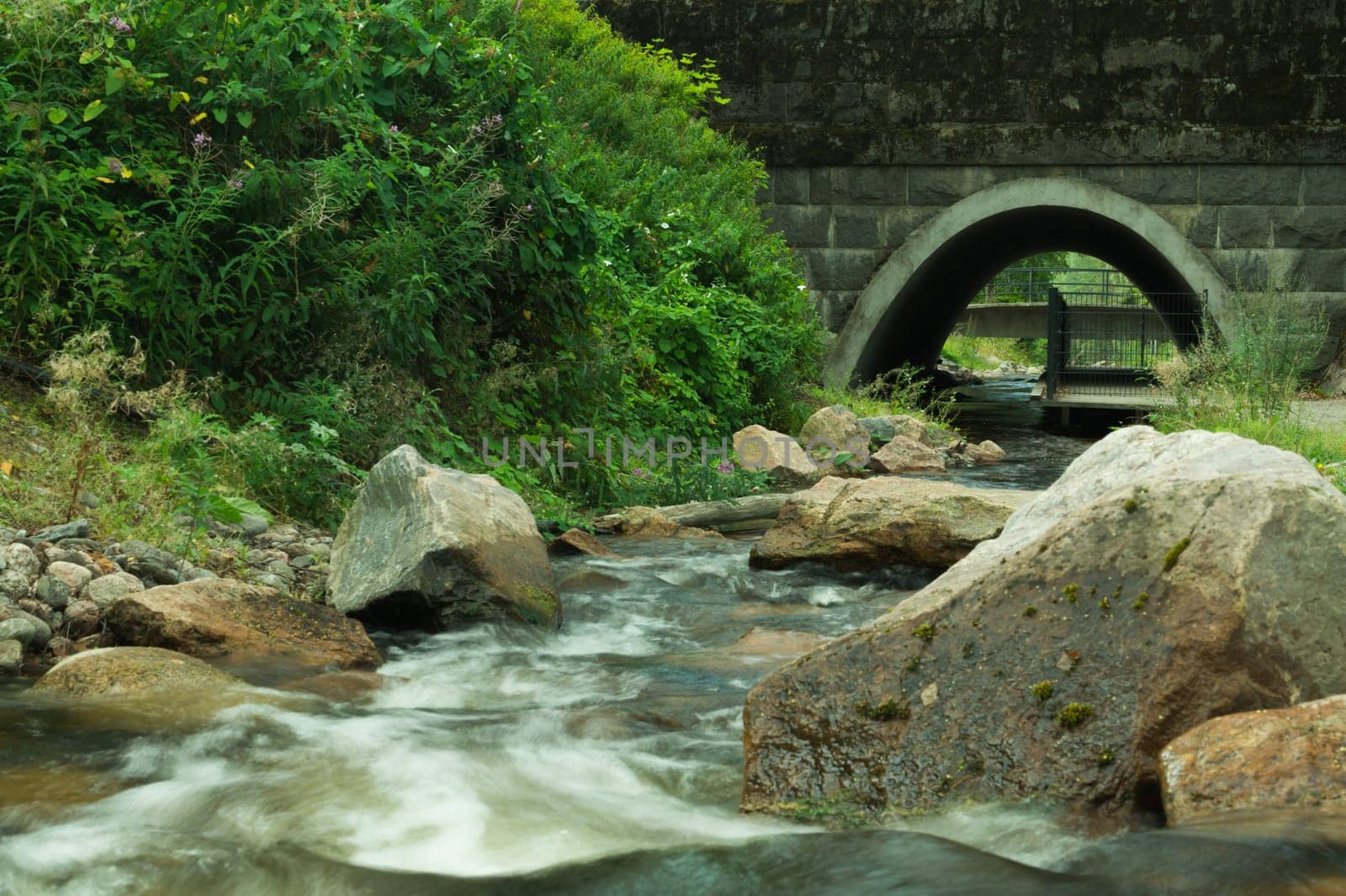 Rocky creek in the forest. river with rocks. dense overgrown forest with flowing stream under a small bridge nature background