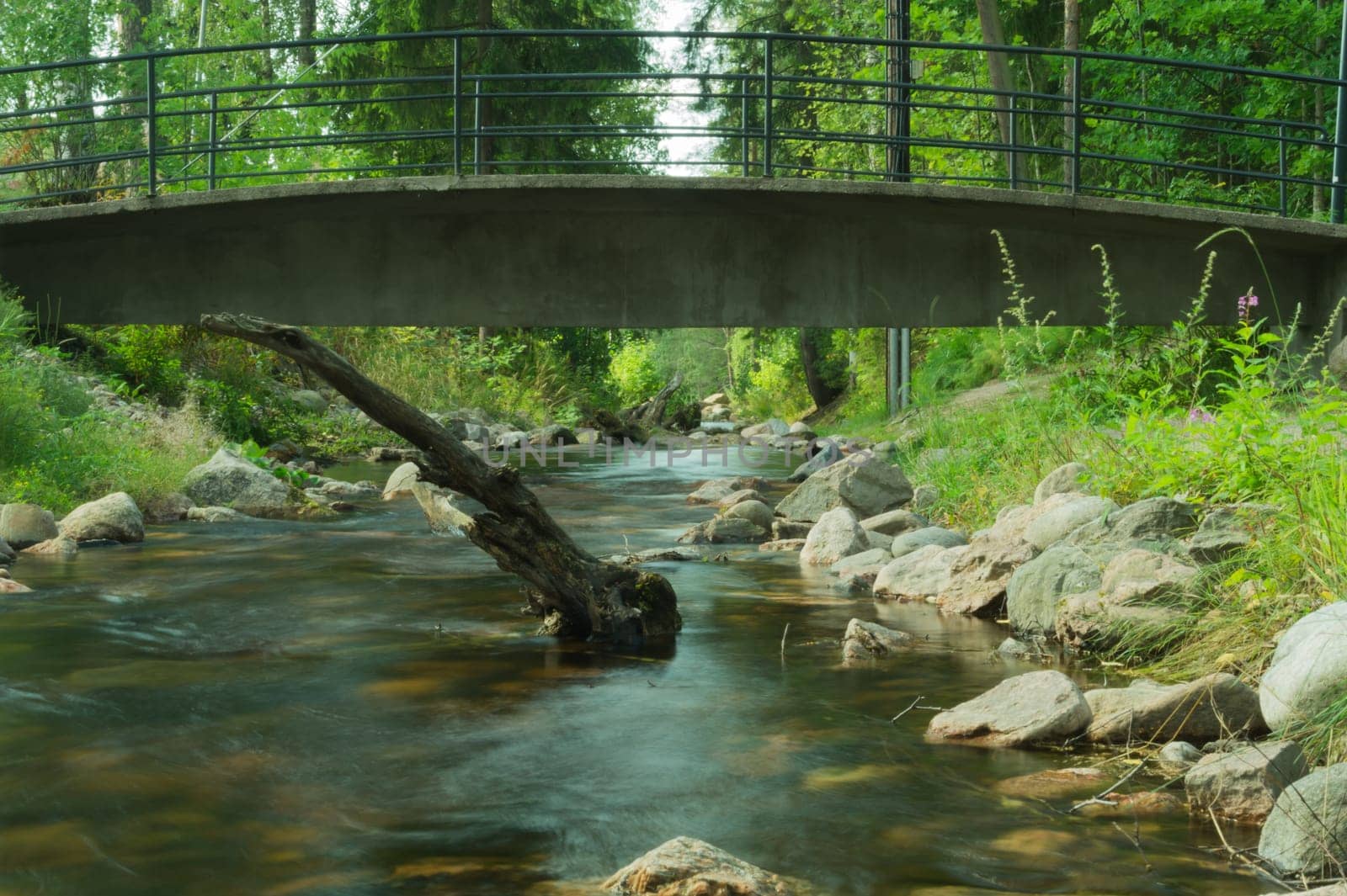 Rocky creek in the forest. river with rocks. dense overgrown forest with flowing stream under a small bridge nature background