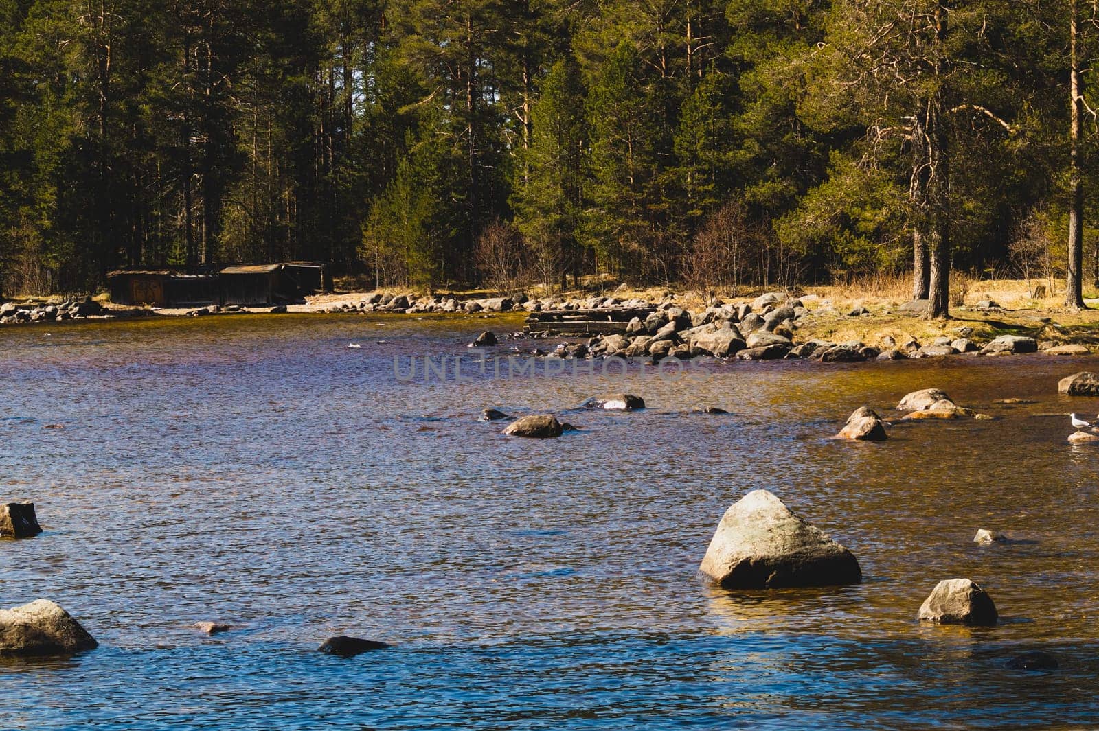 Rocky shore of the lake in the morning. spring landscape