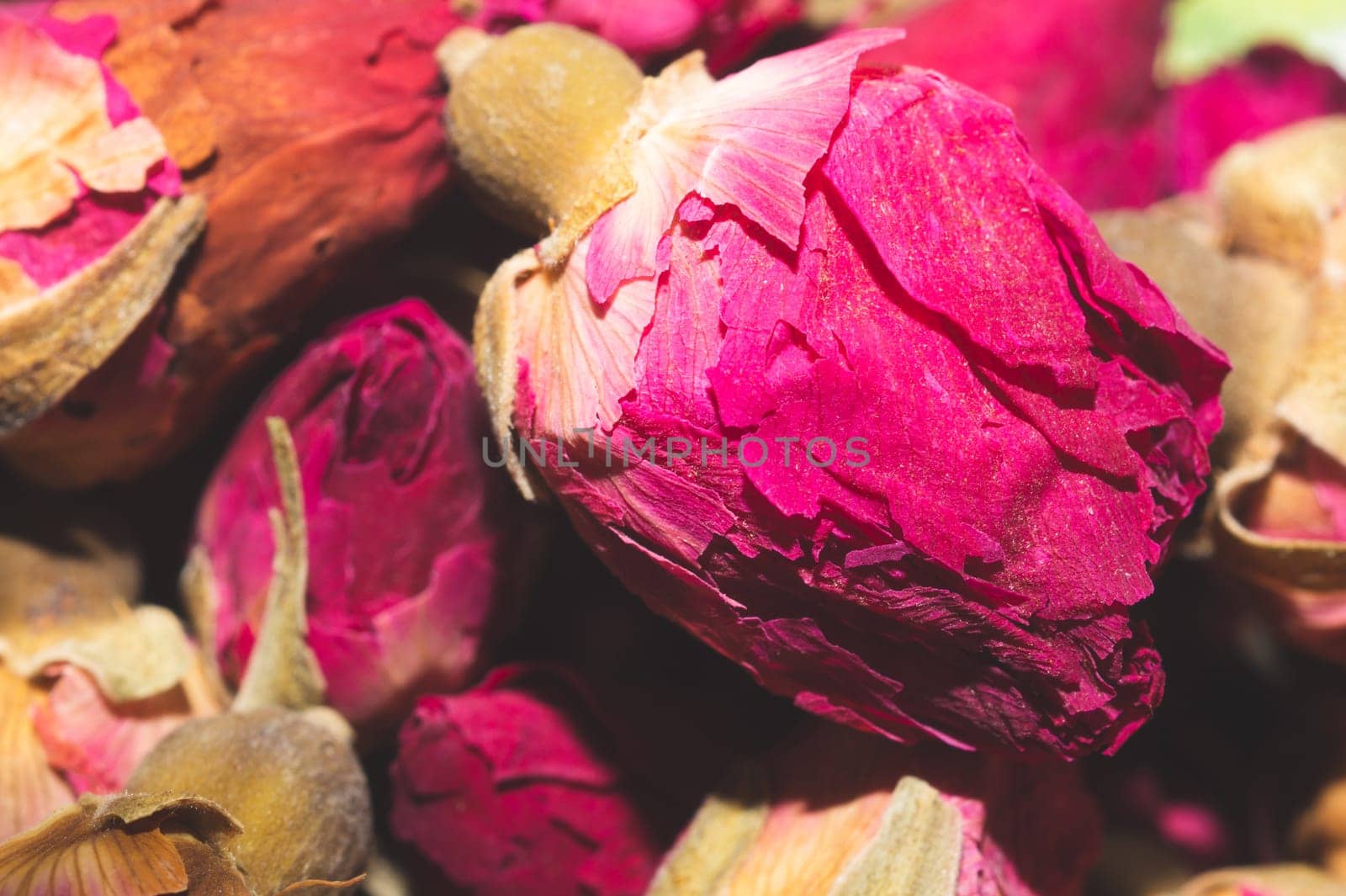 Dried rose buds close up. herbal tea ingredient