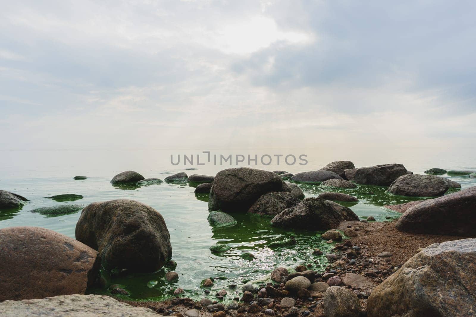 Boulders in green water with blooming algae in the sea