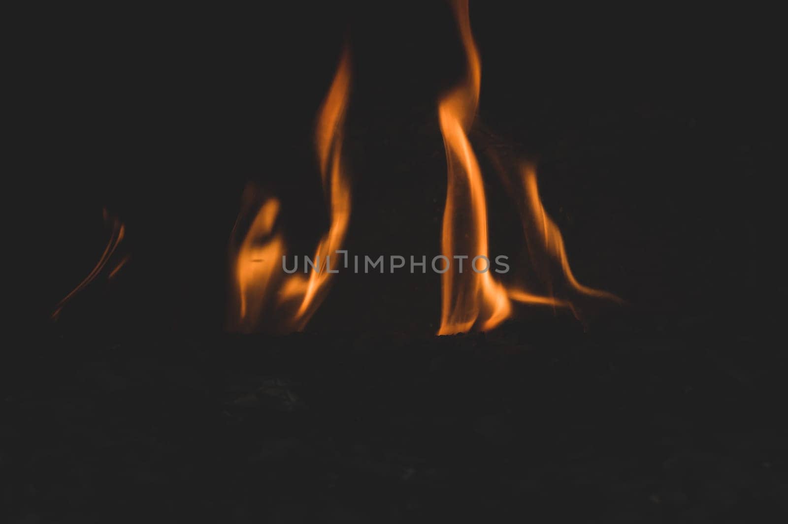 Burning wood in the fire. flame in the fireplace