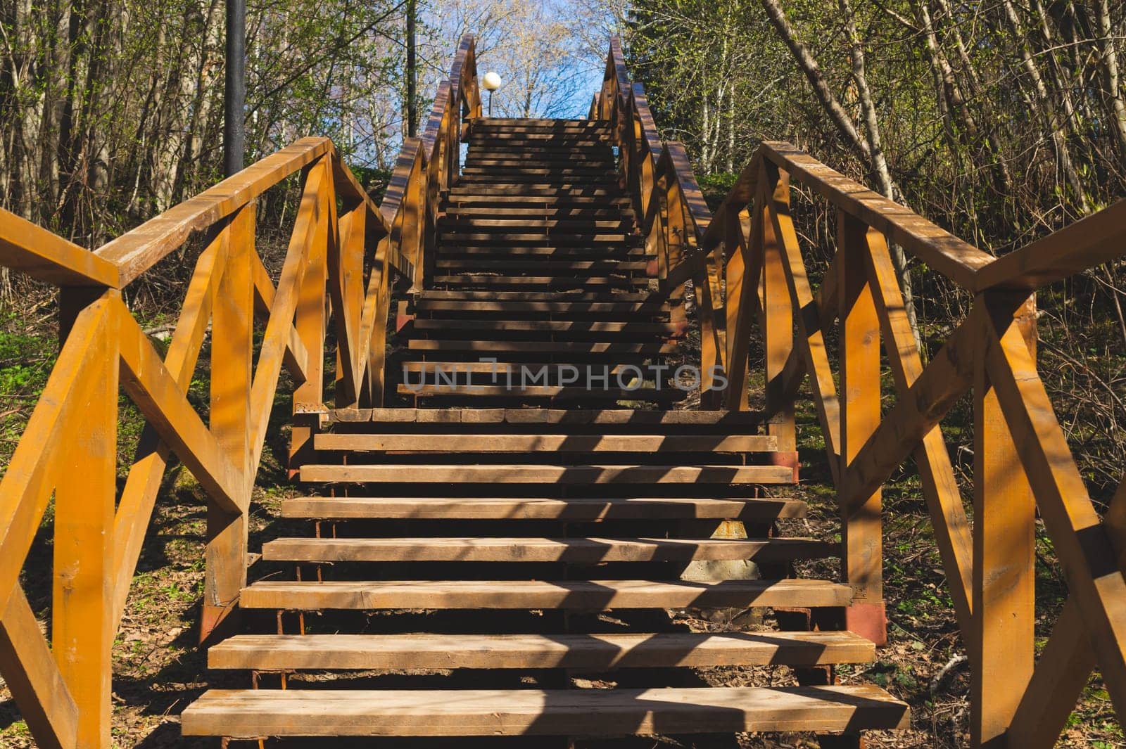 Wooden staircase in the park. stairway made from the wood in the forest