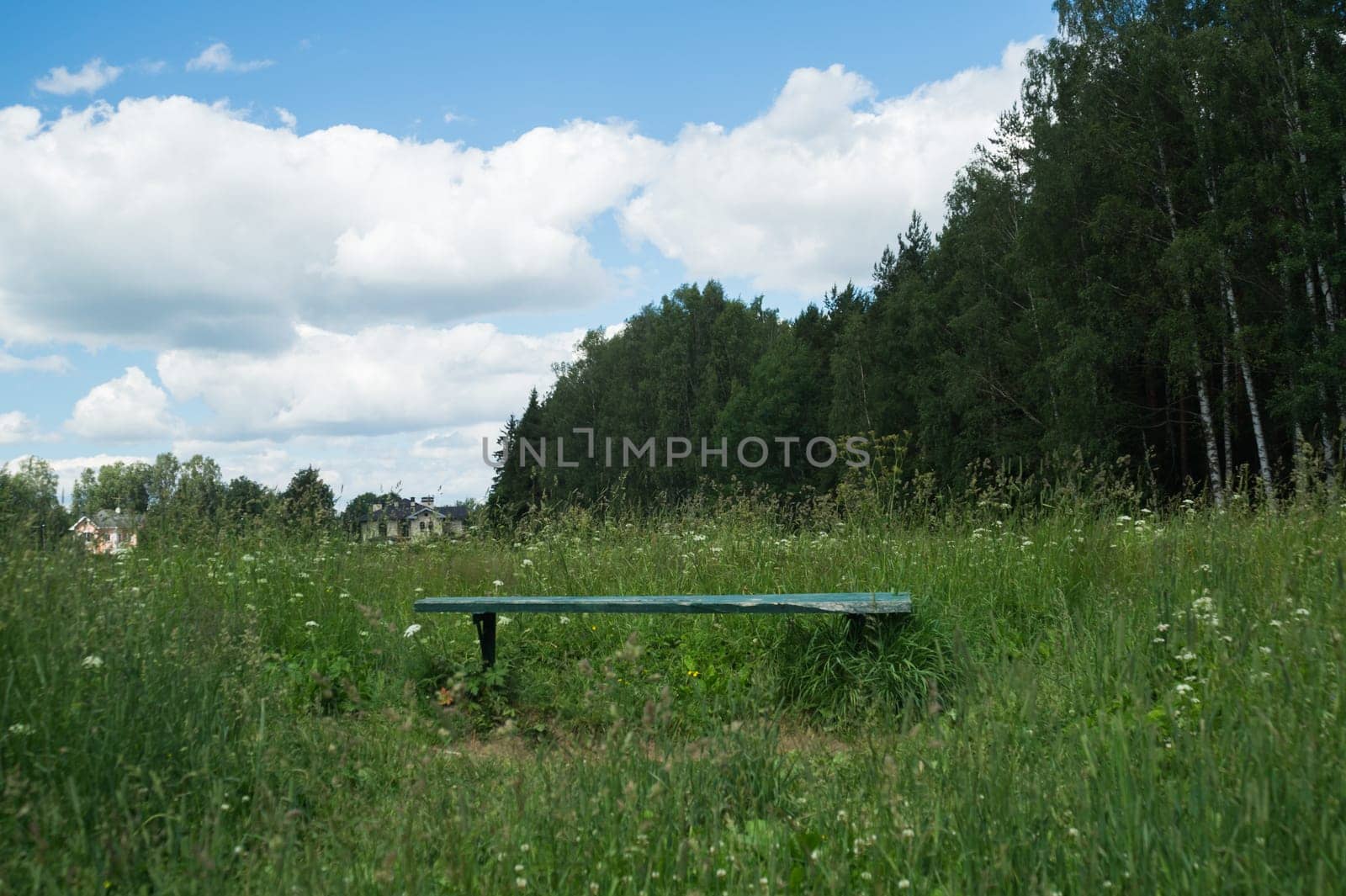 Wooden bench in the green field nature background. meadow in the forest