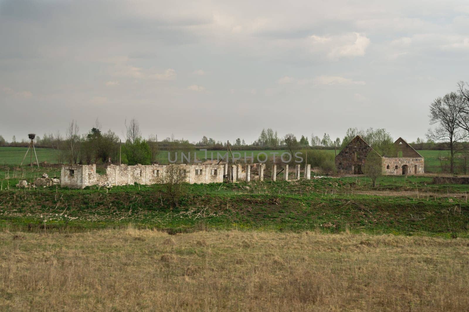 Old abandoned building in the forest. ruined cowshed. rural landscape