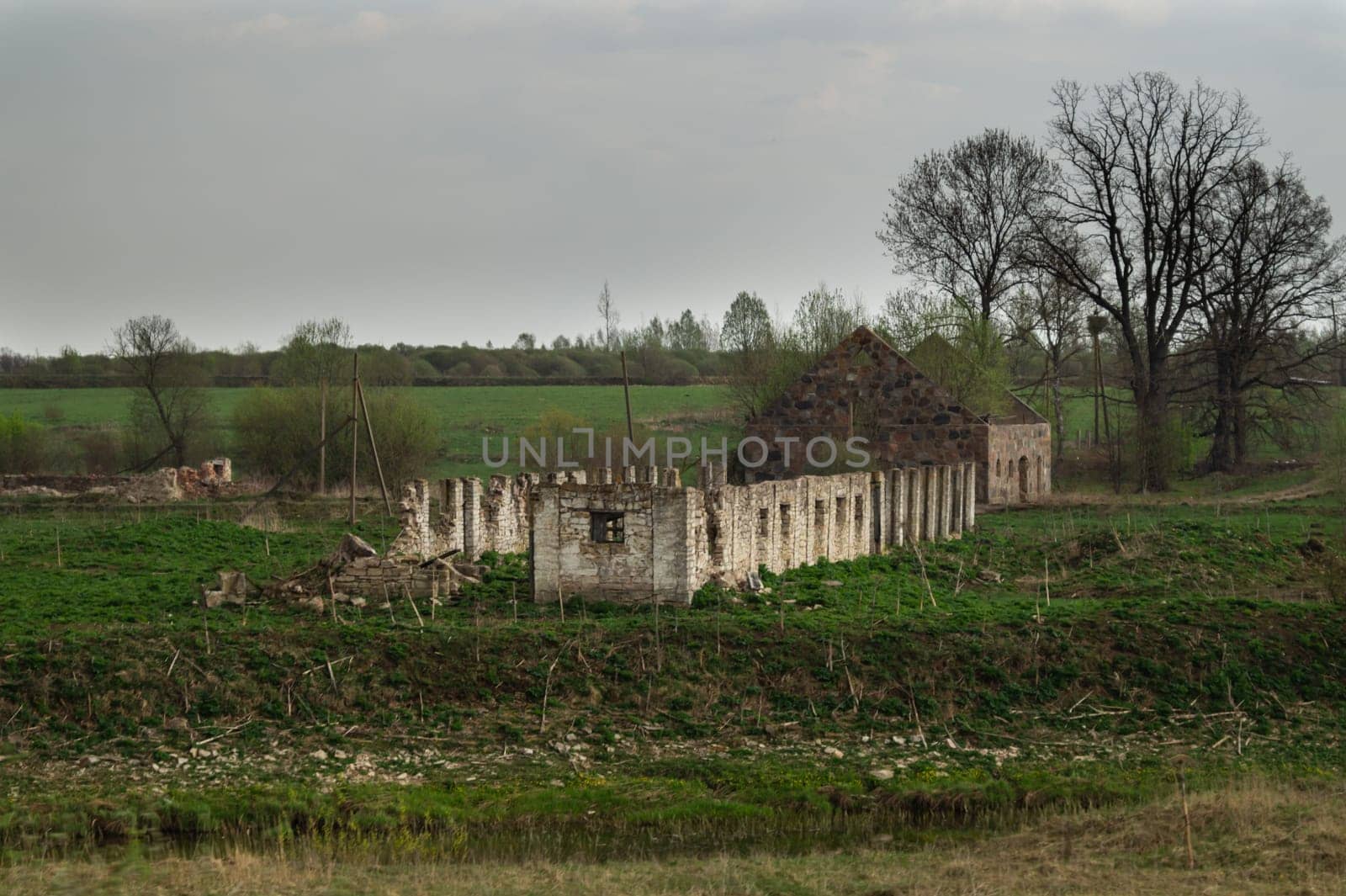 Old abandoned building in the forest. ruined cowshed. rural landscape