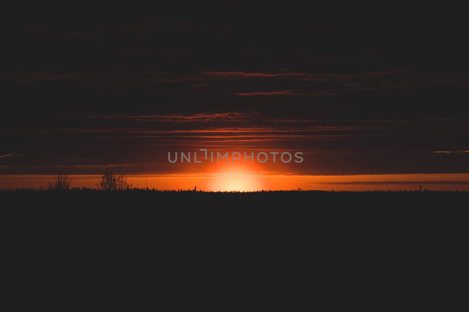 Golden sunset with sun and forest silhouette. horizon line at sundown