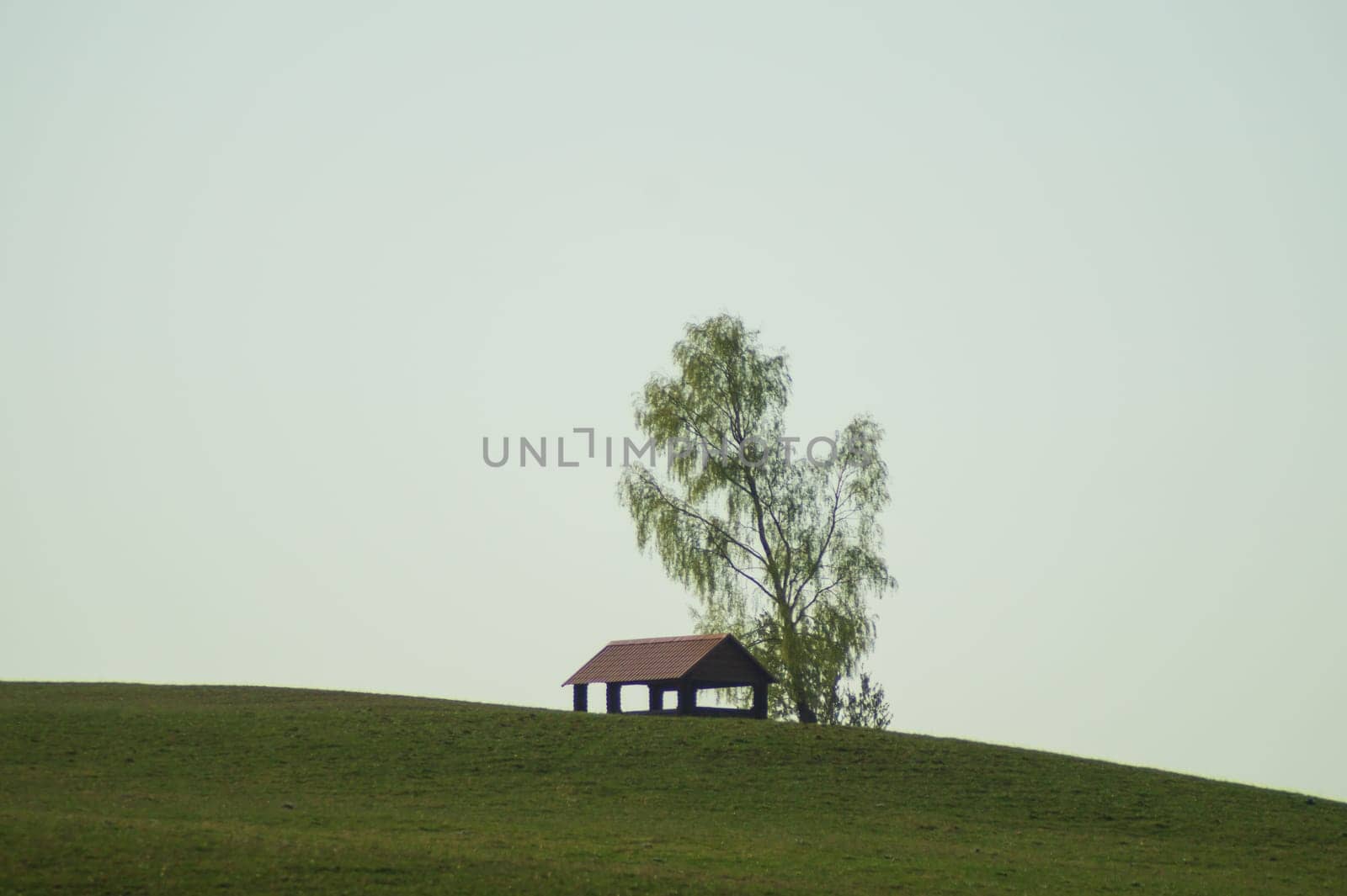 Lonely gazebo on the hill. summerhouse under tree standing alone in the field. solitude concept. shelter in the meadow