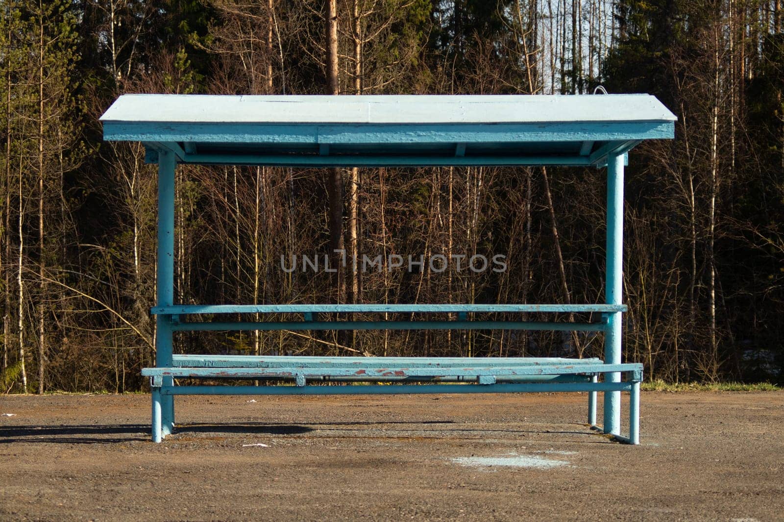 Rural bus stop on the country road with the forest on the background
