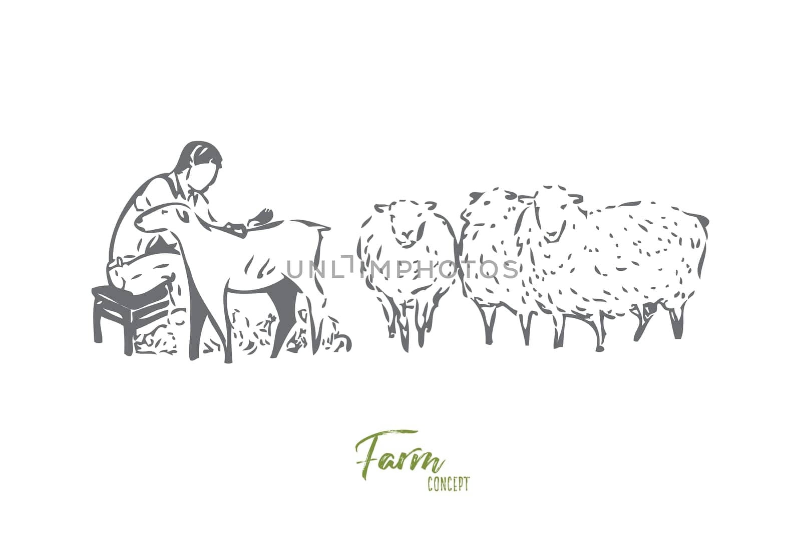 Collecting wool concept sketch. Man, livestock worker, farmer shearing sheep. Looking after farm animals. Countryside lifestyle jobs, responsibilities. Isolated vector illustration