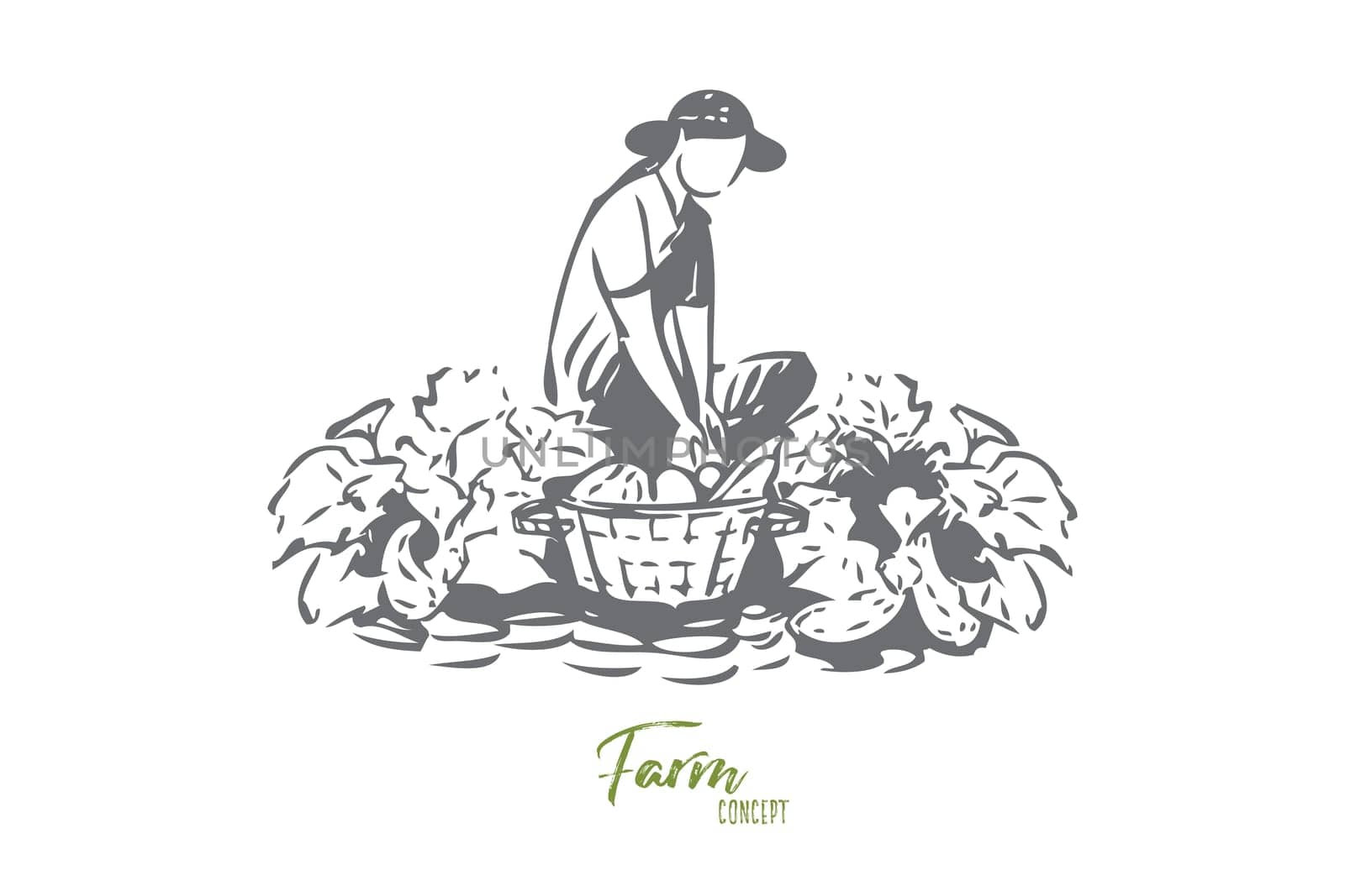 Growing vegetables concept sketch. Farming business, gardener chores, agronomy, female farmer collecting vegetarian food, natural products, rural economy banner. Isolated vector illustration