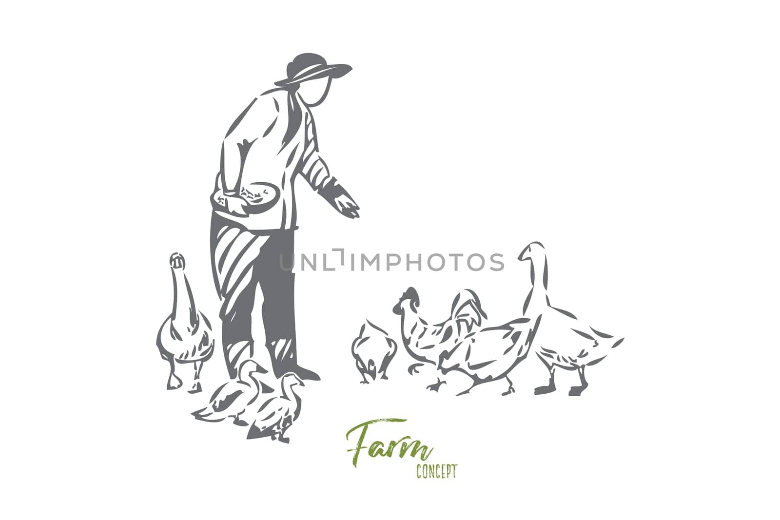 Poultry farm concept sketch. Farming business, villager chores, countryside lifestyle, female farmer feeding domestic birds, ducks and chicken, rural economy banner. Isolated vector illustration