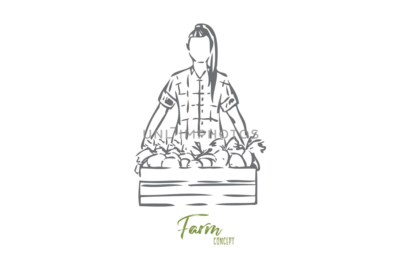 Box of harvest concept sketch. Woman, agriculture worker collecting fruit, vegetables. Harvesting organic produce. Farmland lifestyle chores and jobs. Isolated vector illustration