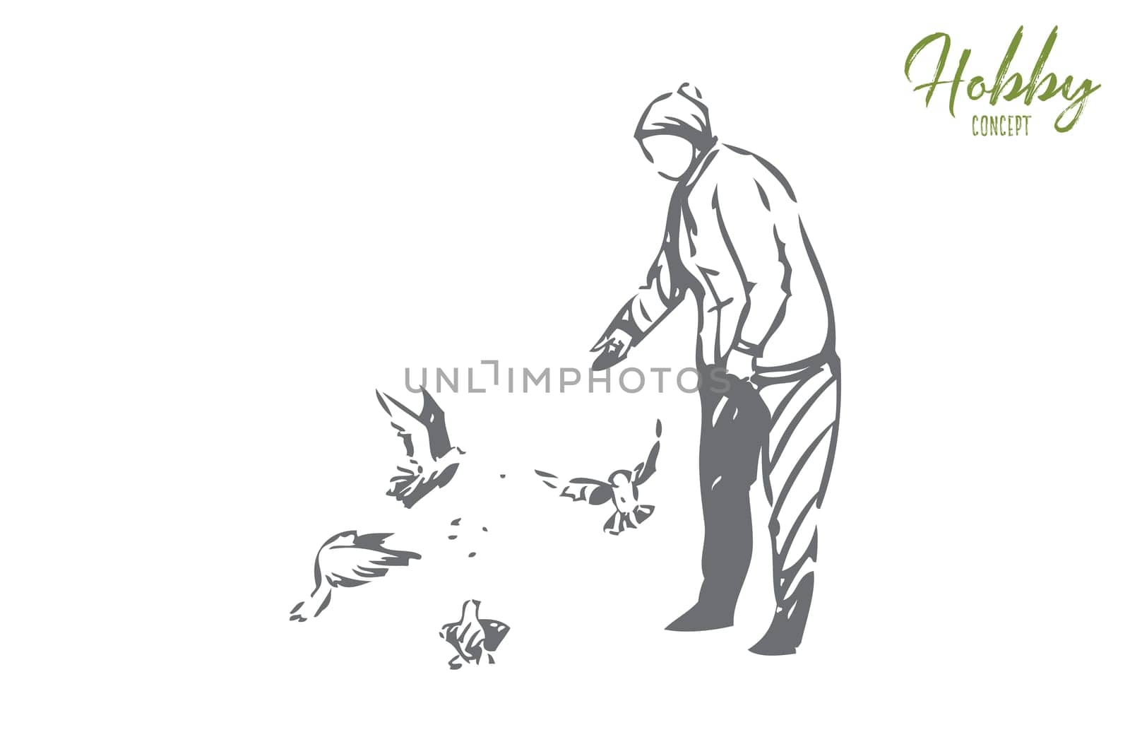 Hobby concept sketch. Old lady feeding birds. Walking in park, outdoors in free time. Throwing seeds and crumbs to pigeons. Bird watching at leisure time. Isolated vector illustration