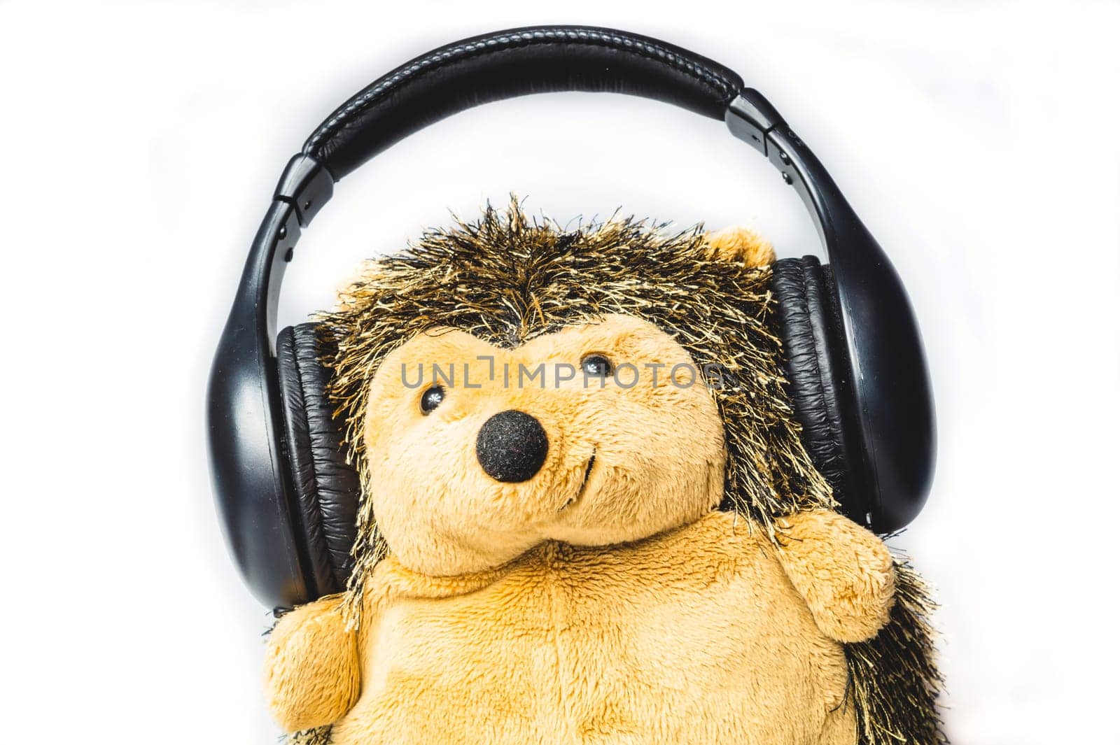 Plush hedgehog in the headphones. soft toy on a white background. listening to music concept