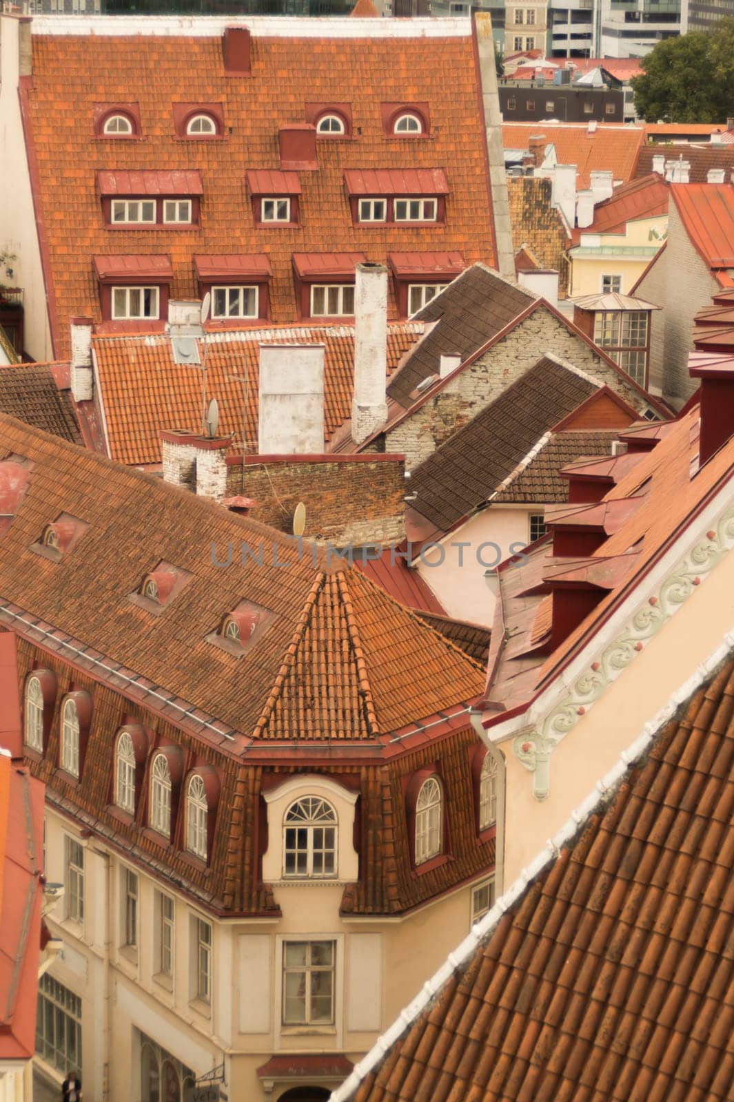Cityscape in Tallinn Estonia. red roof tiles. landscape from high view