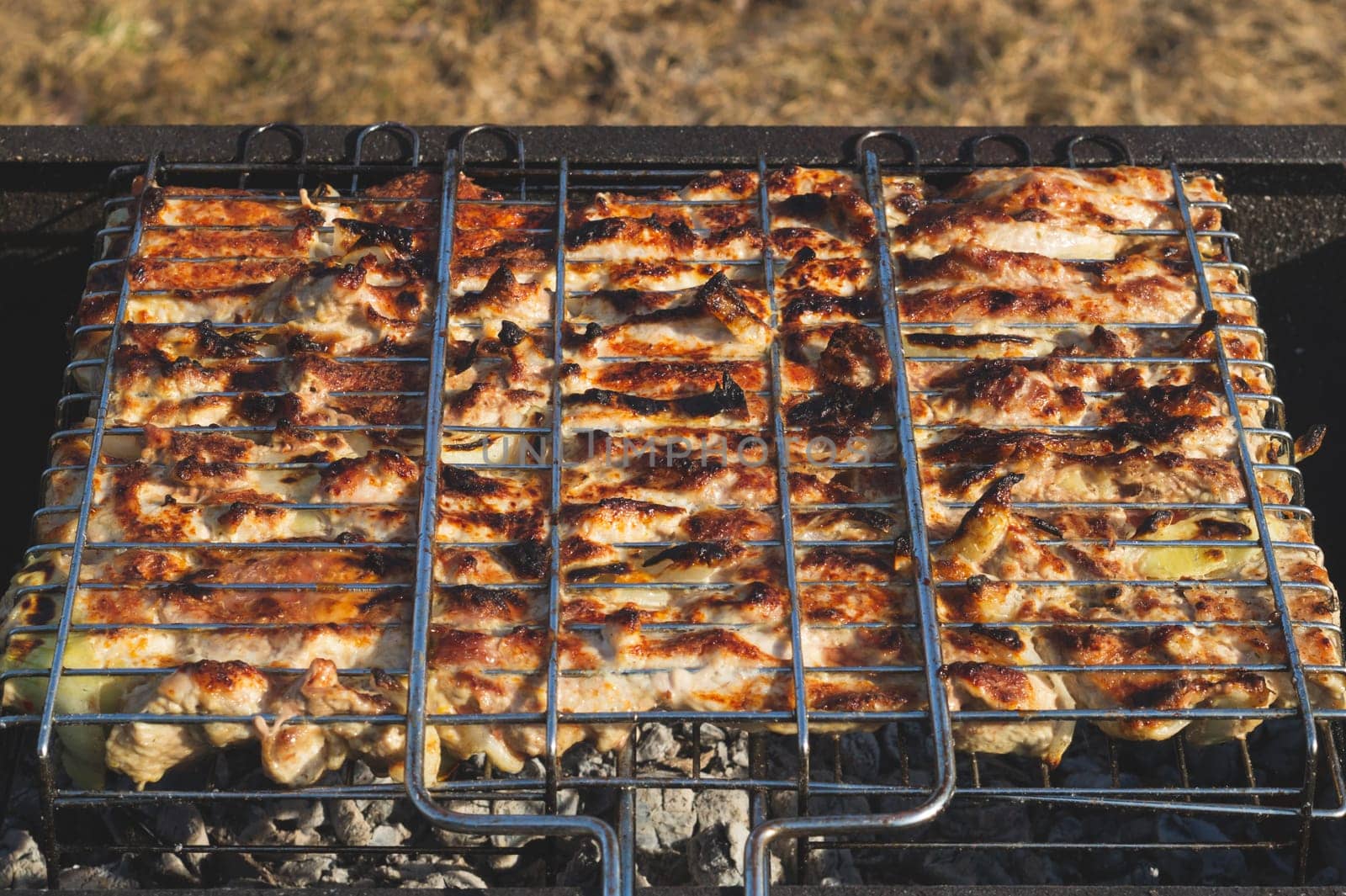 Grilled meat. barbeque on metal grille. picnic with bbq. outdoor cooking