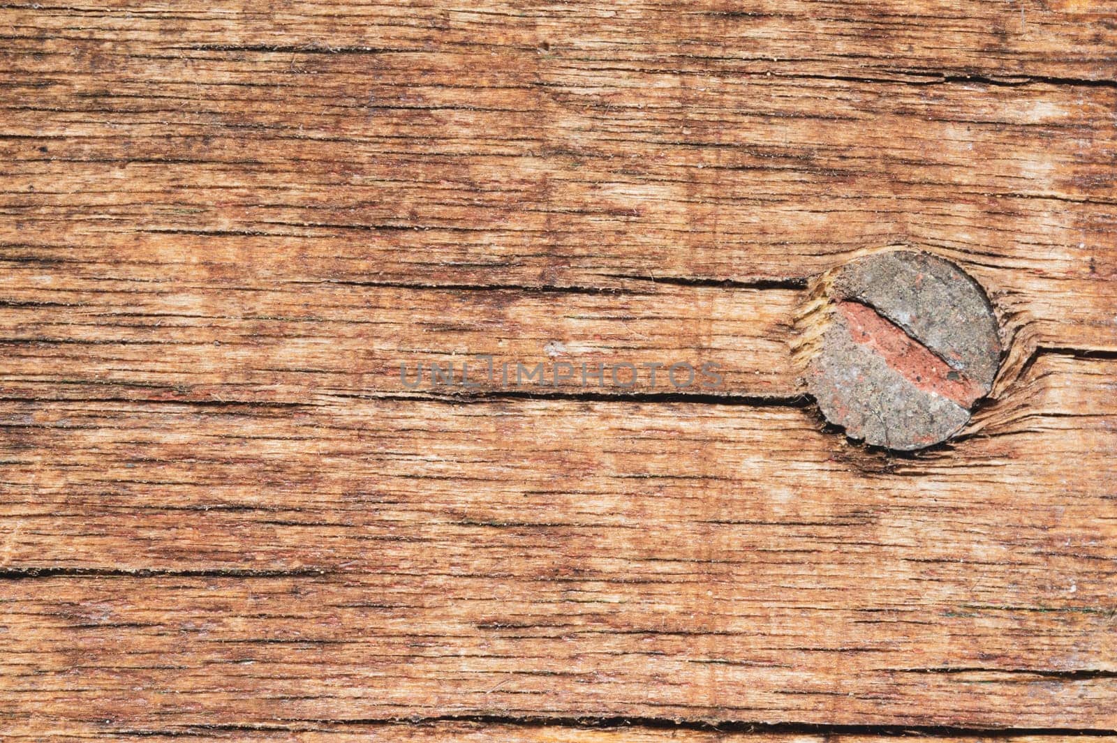 Wood background with nail. grunge wooden texture close up. old rough surface with scratches
