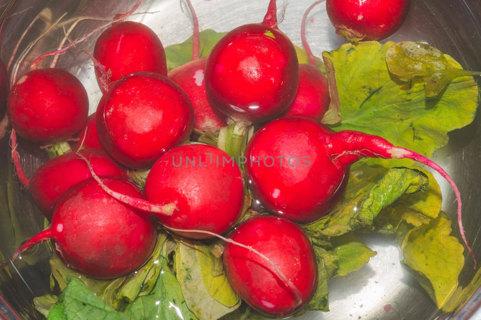 Fresh red radish with green leaves. vegetables soaked in bowl with water. vegetarian food. healthy eating