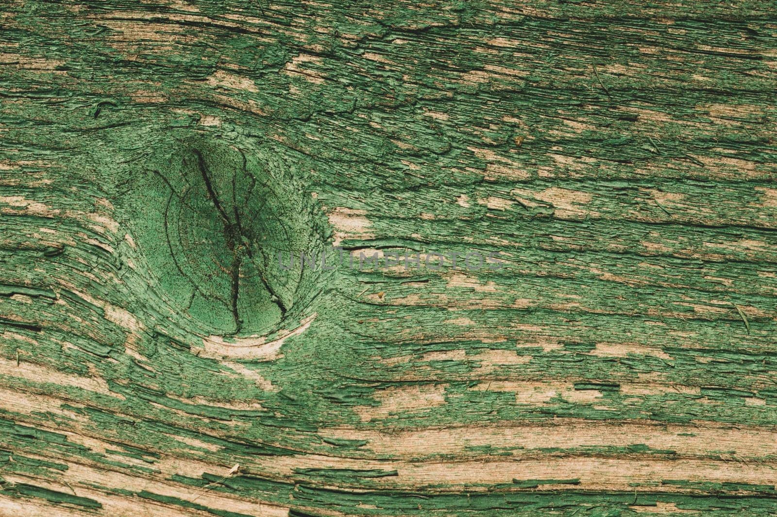 Abstract wood texture with peeling paint. green wooden backdrop. shabby painted wood background