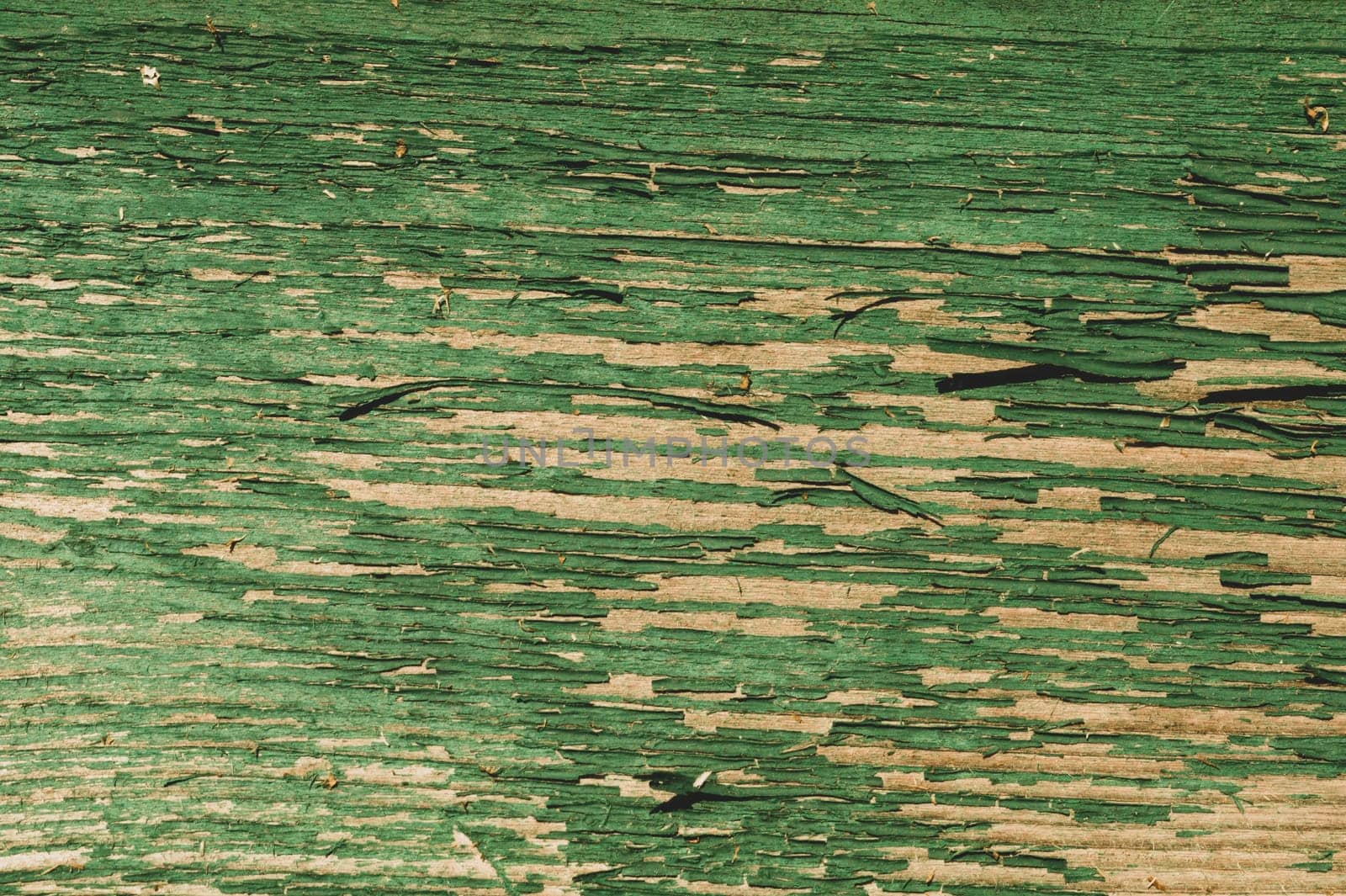 Abstract wood texture with peeling paint. green wooden backdrop. shabby painted wood background