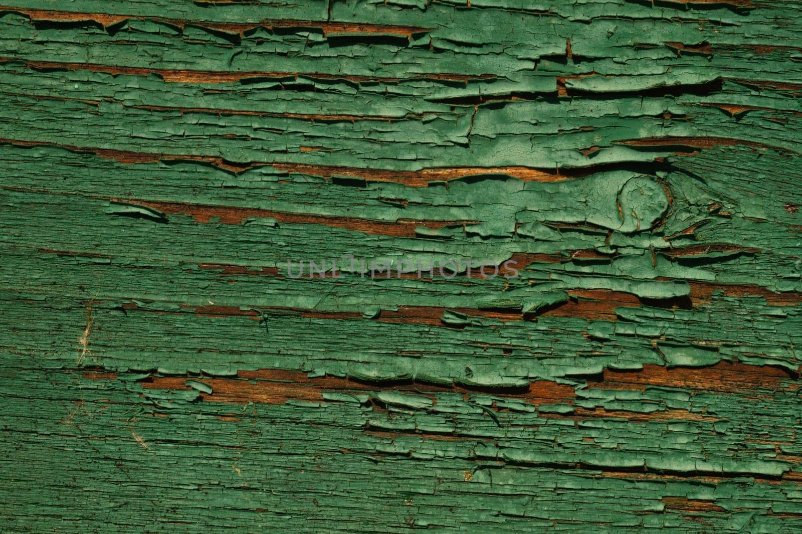 Abstract wood texture with peeling paint. green wooden backdrop. shabby painted wood background