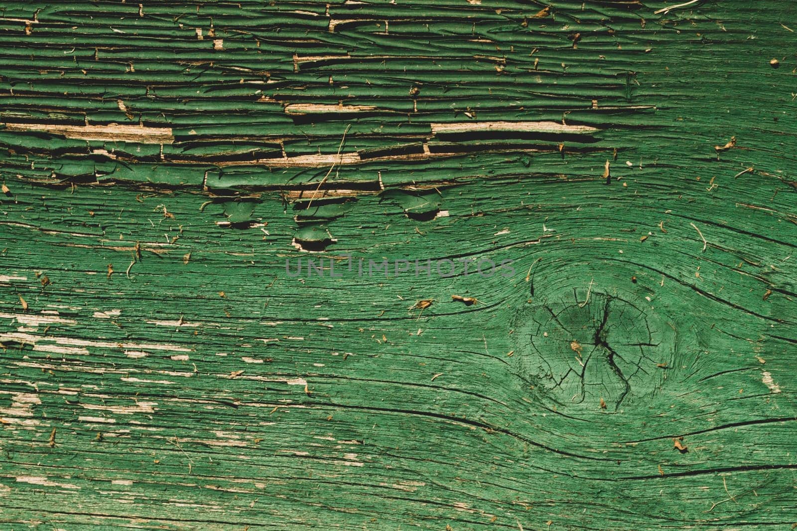 Abstract wood texture with peeling paint. green wooden backdrop. shabby painted wood background