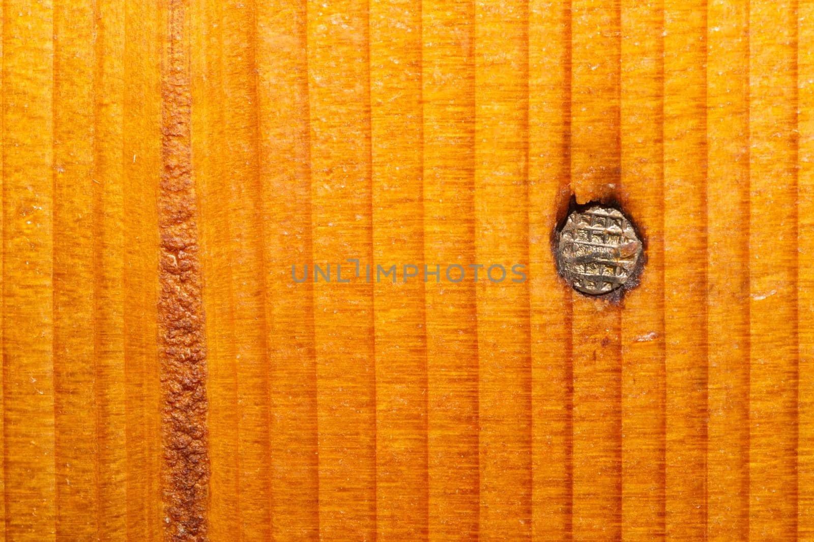 Nail in a wooden wall close up. brown wood texture