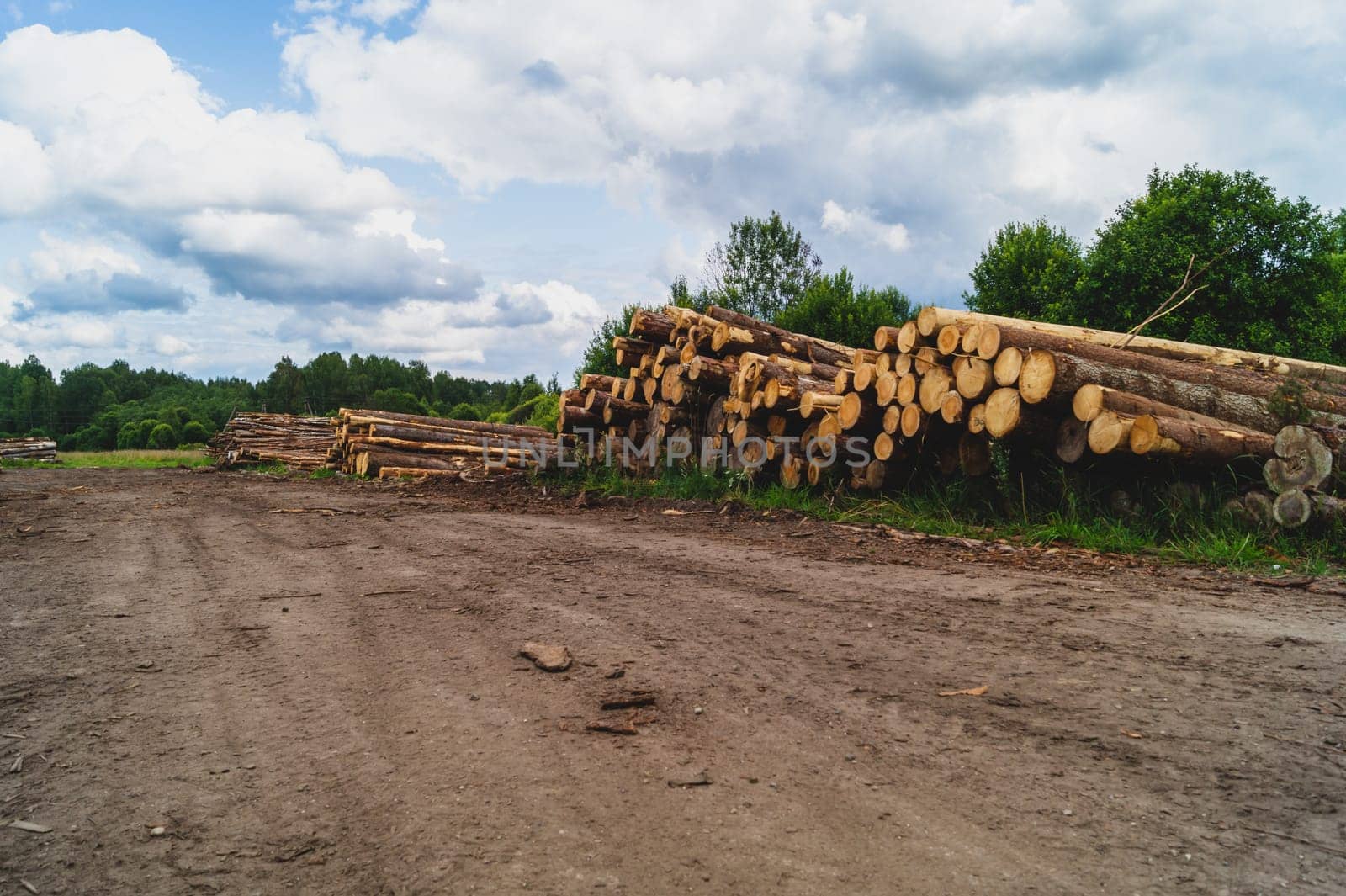 Wooden logs in the forest. chopped tree logs stack. nature landscape. pile of timber