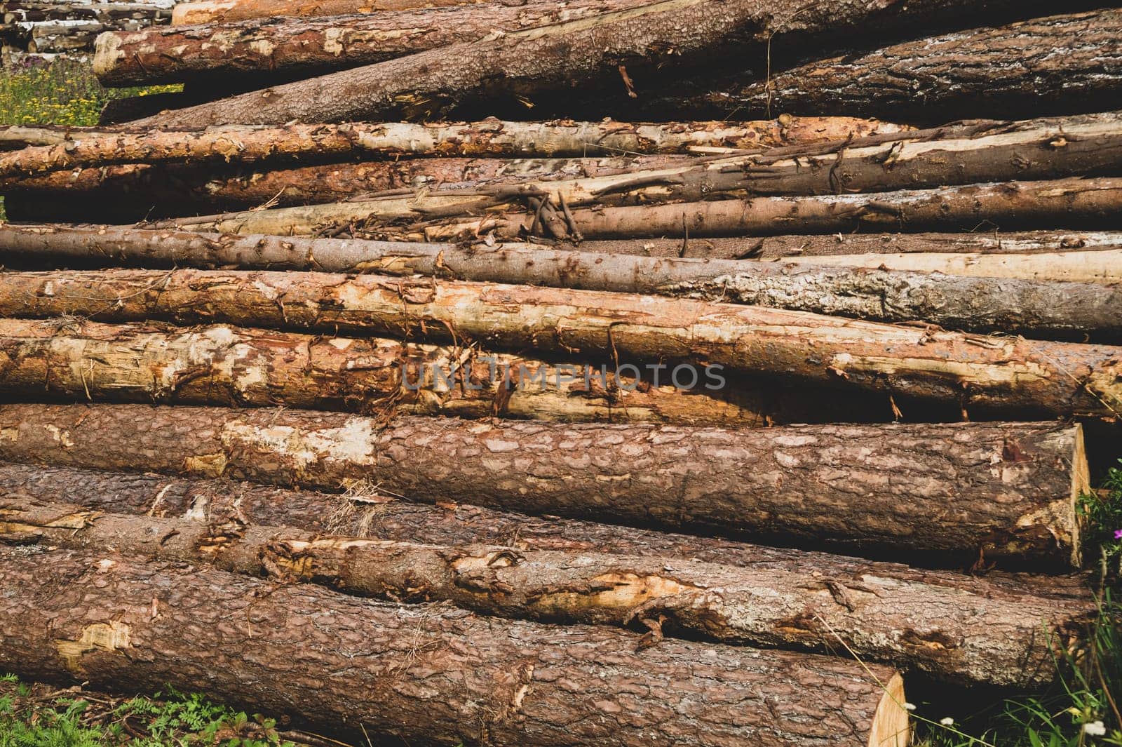 Pile of wooden logs texture. timber background. untreated wood