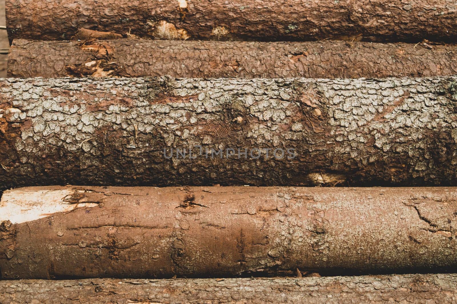 Pile of wooden logs texture. timber background. untreated wood