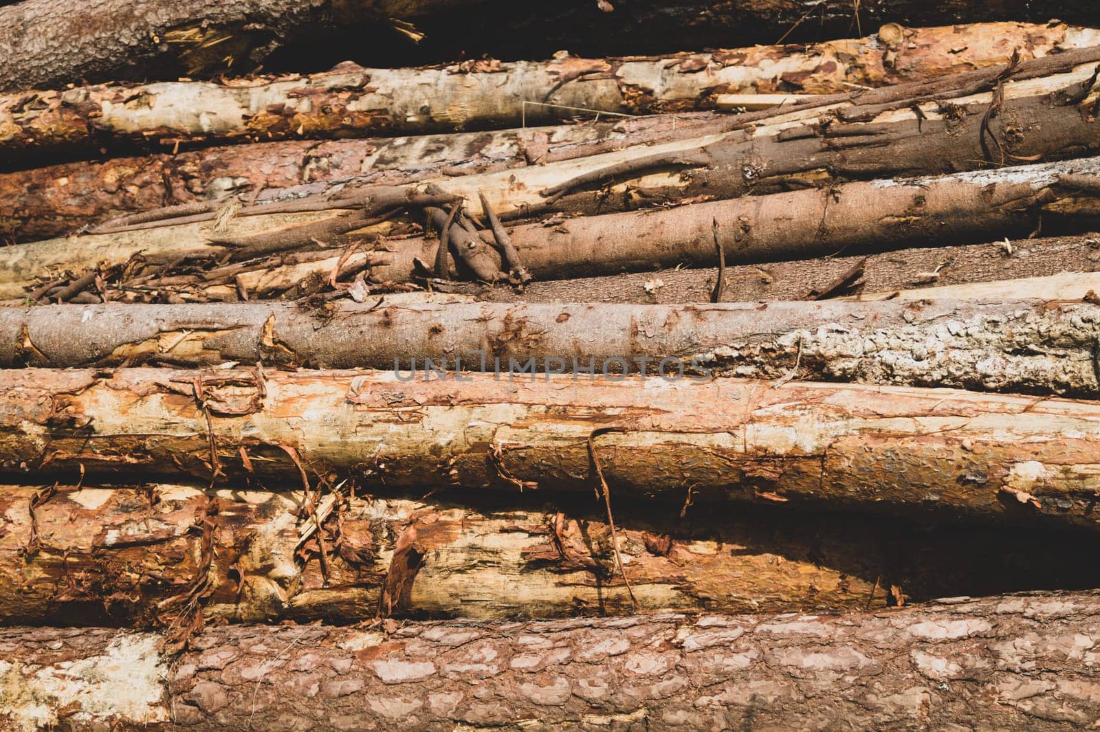 Pile of wooden logs texture. timber background. untreated wood