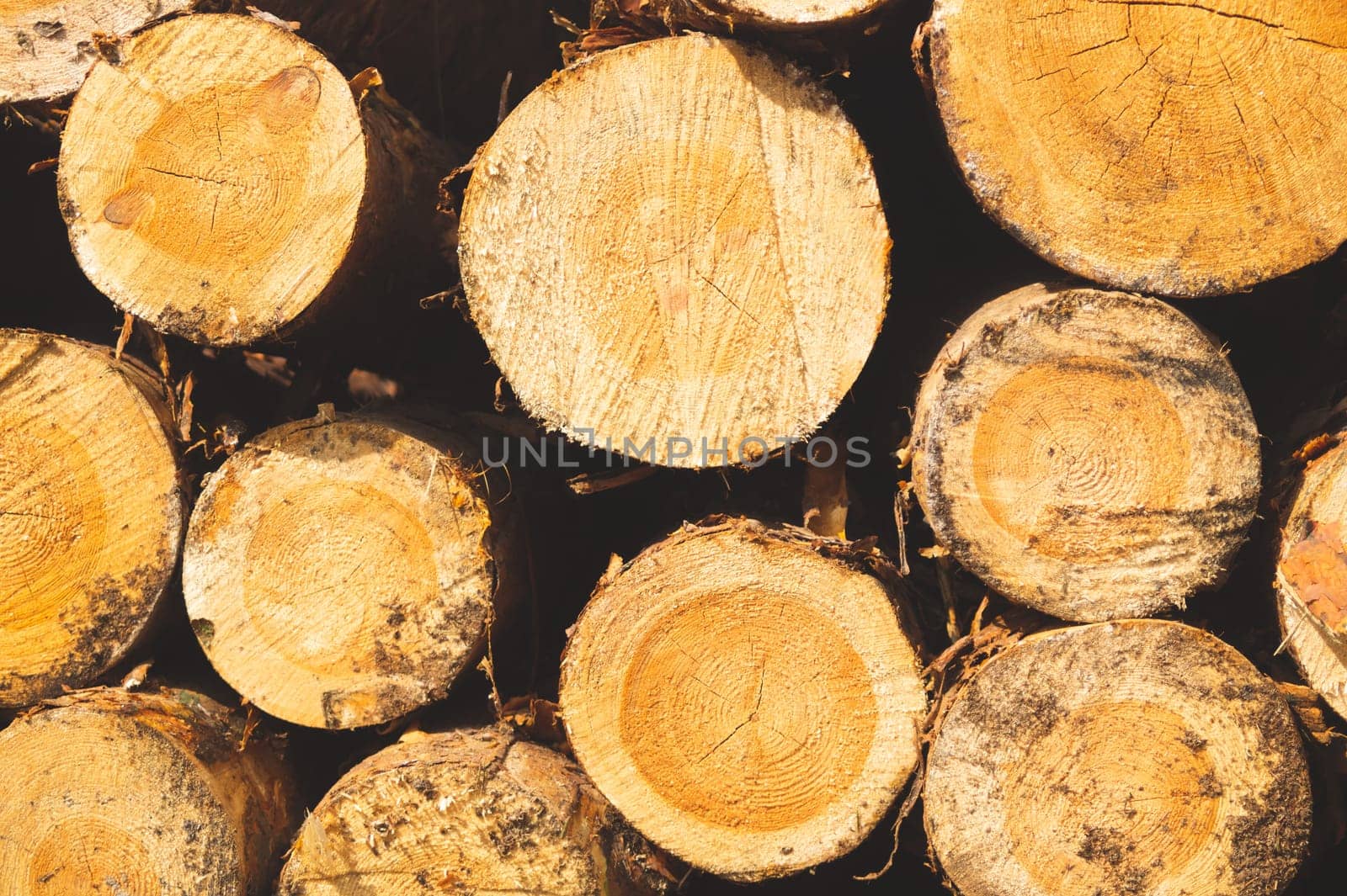 Stack of logs. natural wooden background with timber. log wall. pile of timber