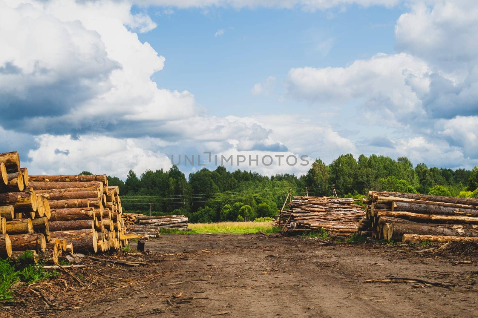 Wooden logs in the forest. chopped tree logs stack. nature landscape. pile of timber