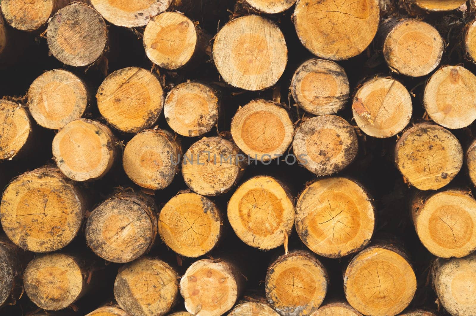 Stack of logs. natural wooden background with timber. log wall. pile of timber