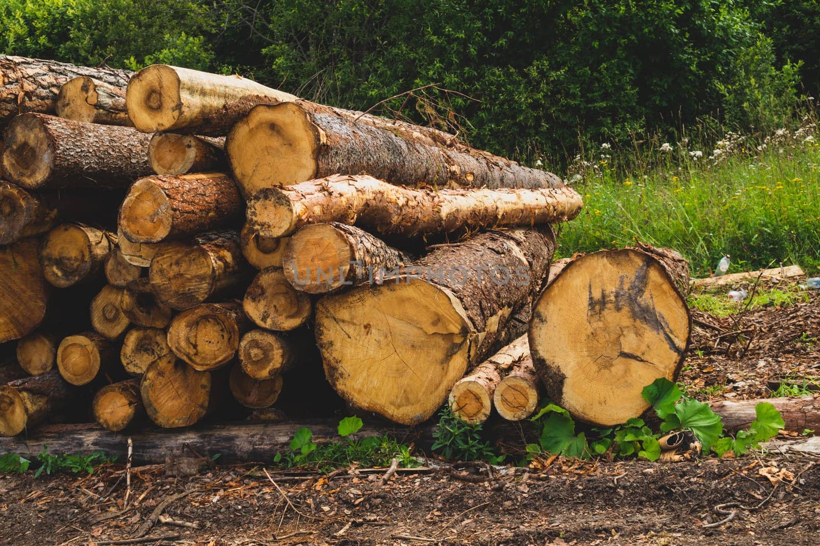 Stack of logs. natural wooden background with timber cuts. log wall