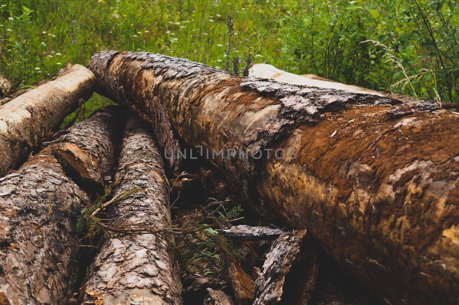 Pile of wooden logs. timber background. untreated wood