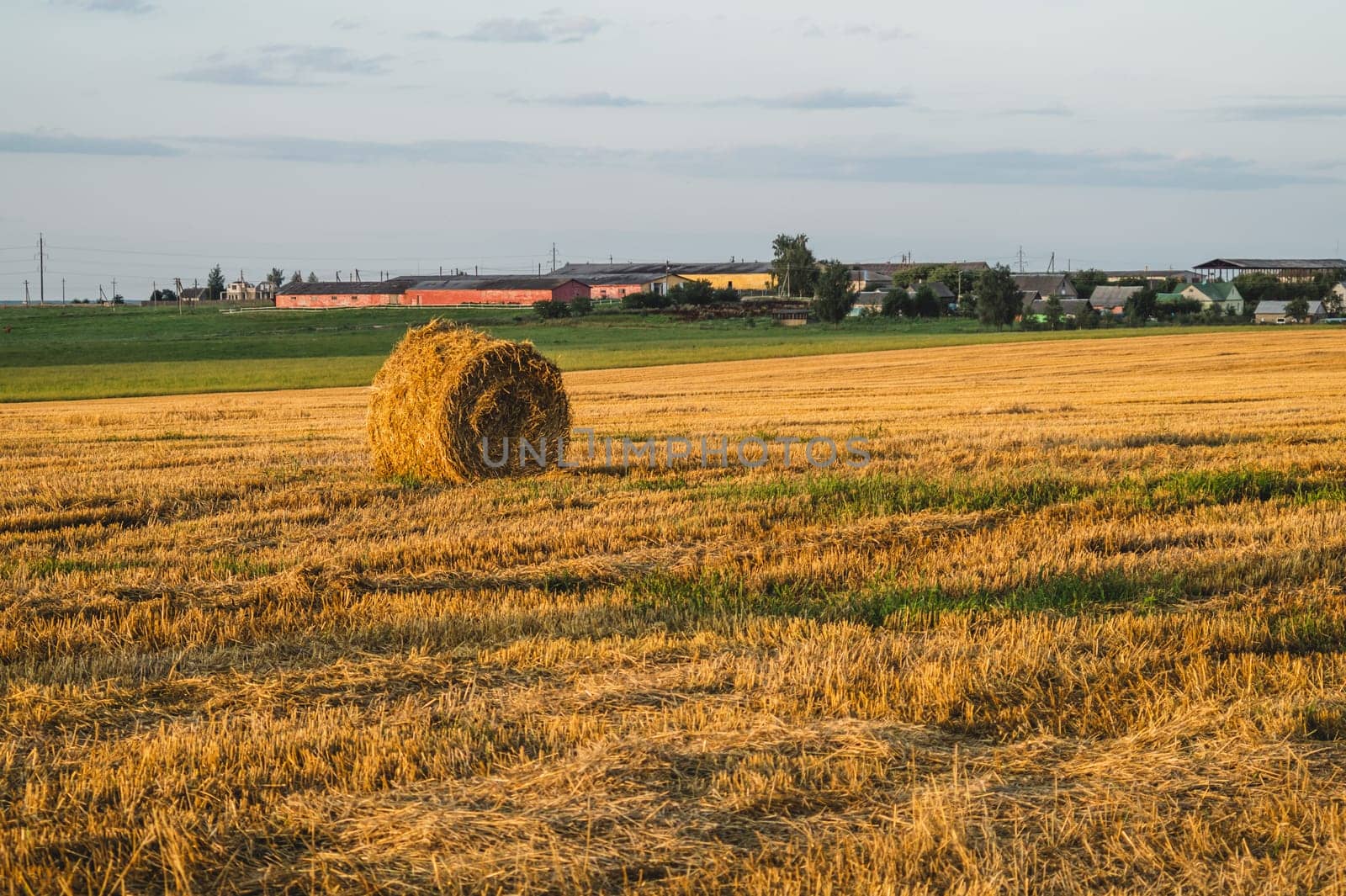 Rolled haystack. hay bale. agriculture field with sky. rural landscape. straw on the meadow. harvest in summer. farm in the countryside