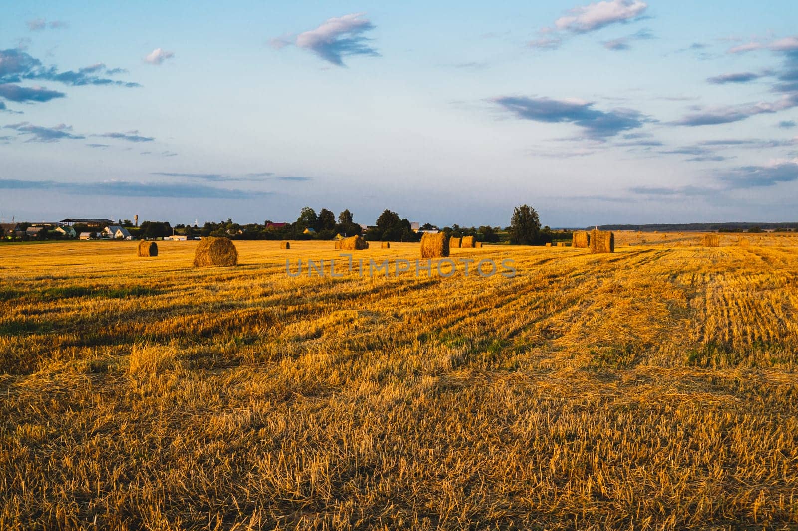 Rolled haystack. hay bale. agriculture field with sky. rural landscape. straw on the meadow. harvest in summer. farm in the countryside