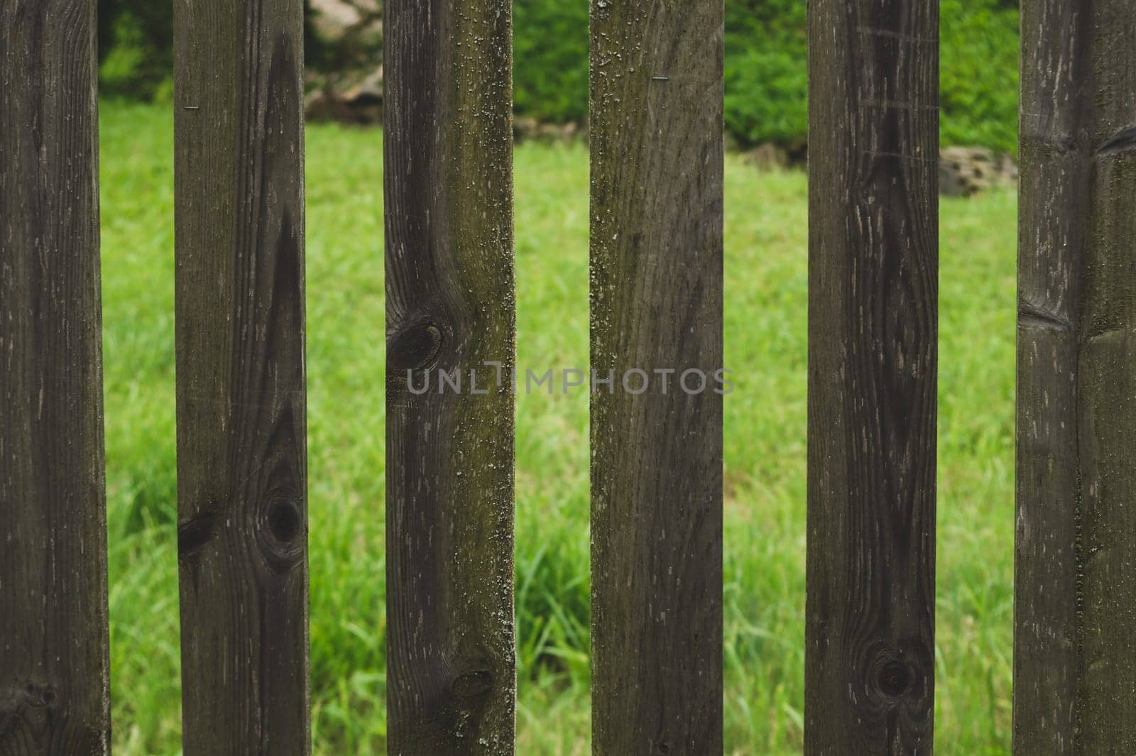 Wooden fence with gaps between the planks. courtyard behind the fencing