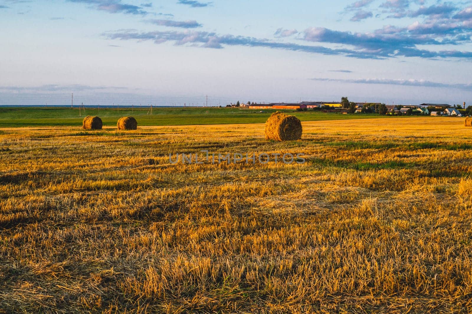 Rolled haystack. hay bale. agriculture field with sky. rural landscape. straw on the meadow. harvest in summer. farm in the countryside