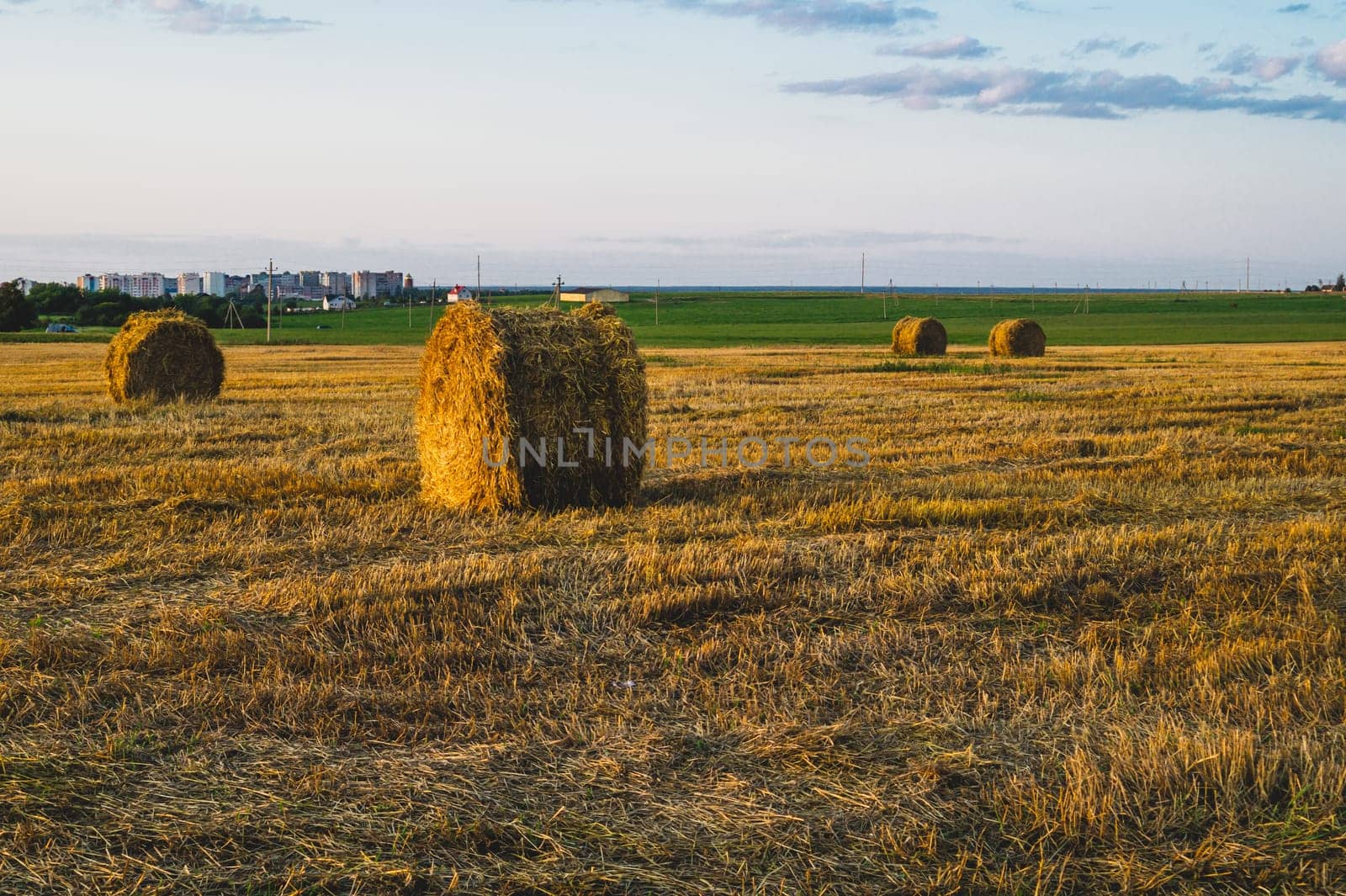 Rolled haystack. hay bale. agriculture field with sky. rural landscape. straw on the meadow. harvest in summer. farm in the countryside
