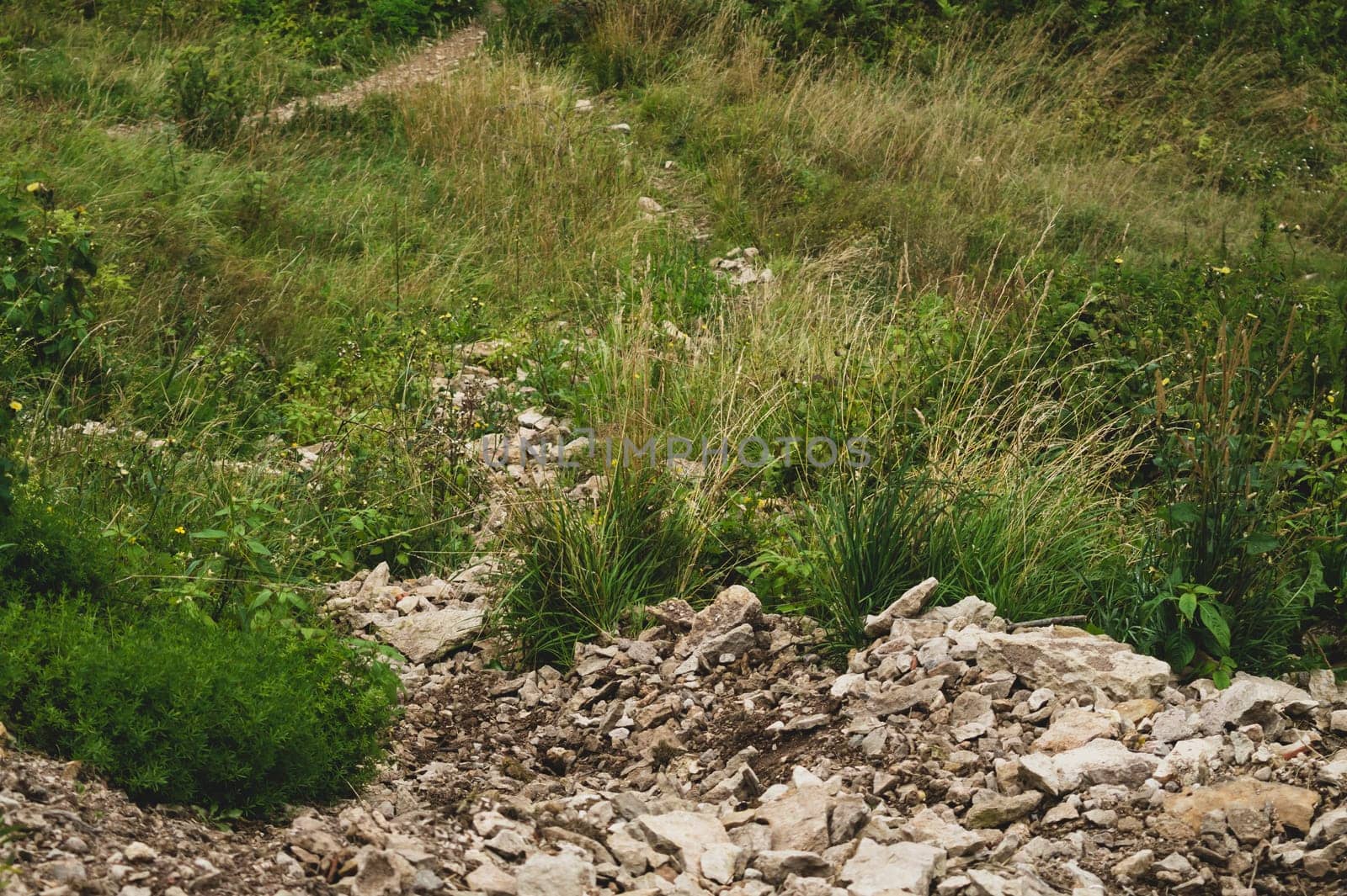 Heap of rocks lies on the grass. pile of stones rolled dawn the hill