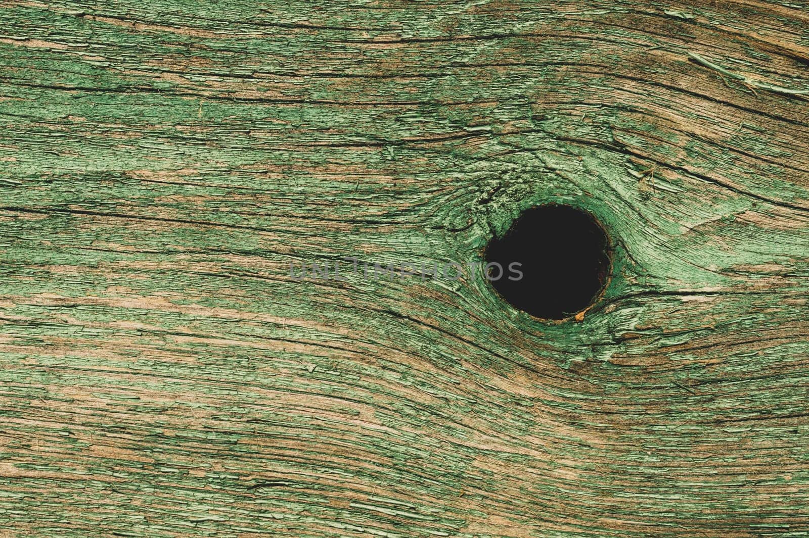 Abstract wood texture with peeling paint. green wooden backdrop. shabby painted wood background
