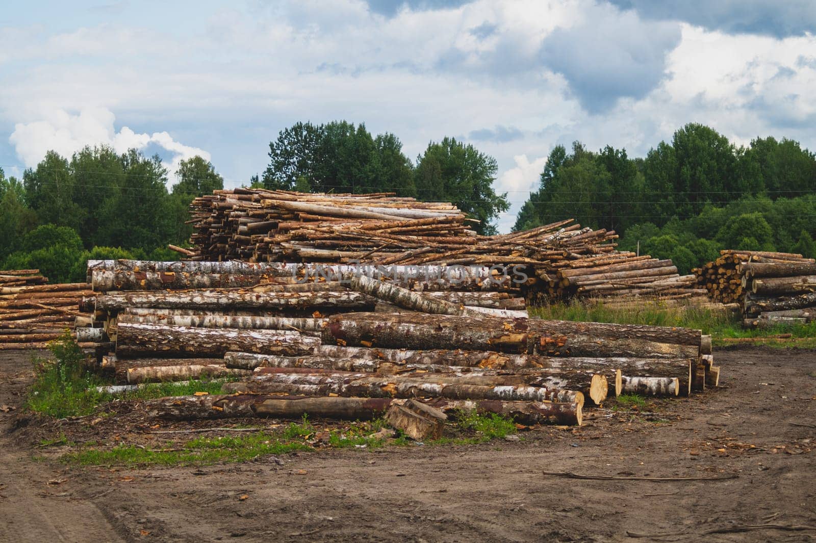 Wooden logs in the forest. chopped tree logs stack. nature landscape. pile of timber