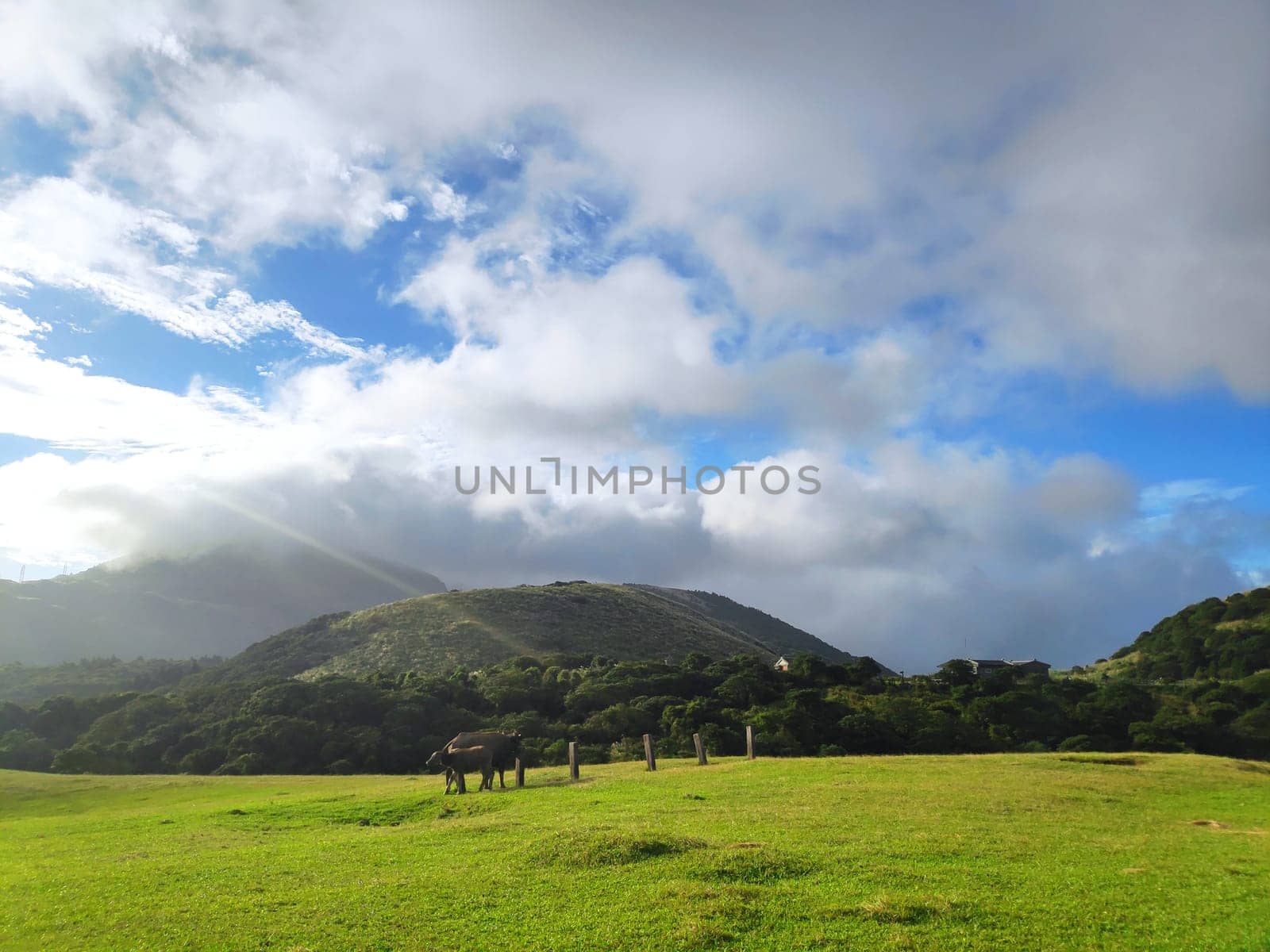 Qingtiangang, Taiwan-Oct 15, 2021: The natural source of alpine grasses is at Shangshan in Taipei City, Taipei City, Taiwan