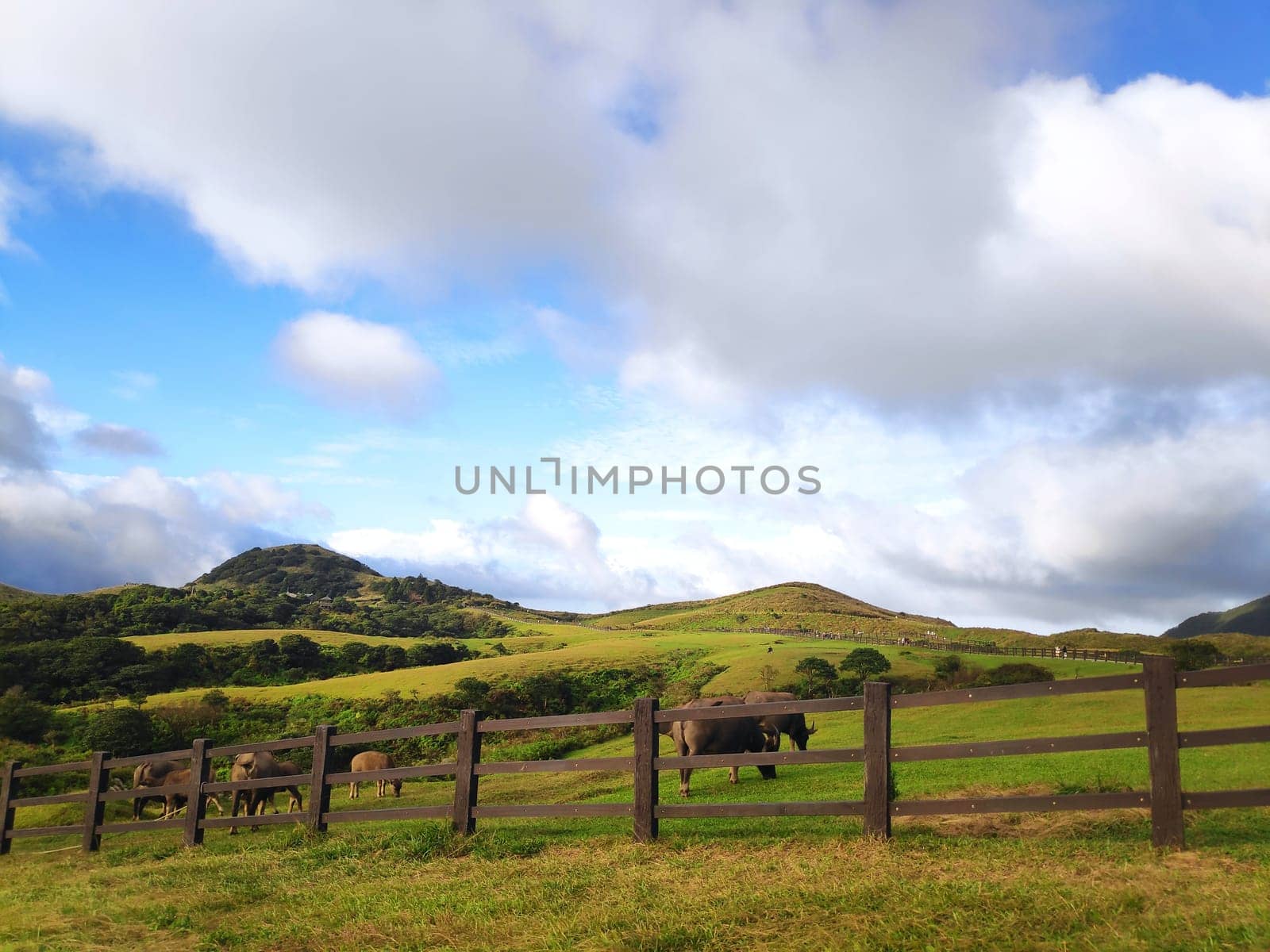 Qingtiangang, Taiwan-Oct 15, 2021: The natural source of alpine grasses is at Shangshan in Taipei City, Taipei City, Taiwan