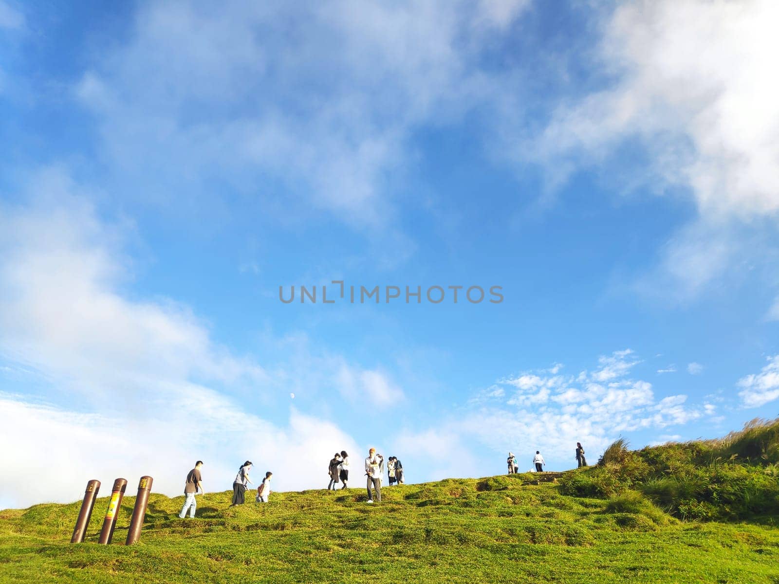 Qingtiangang, Taiwan-Oct 15, 2021: The natural source of alpine grasses is at Shangshan in Taipei City, Taipei City, Taiwan