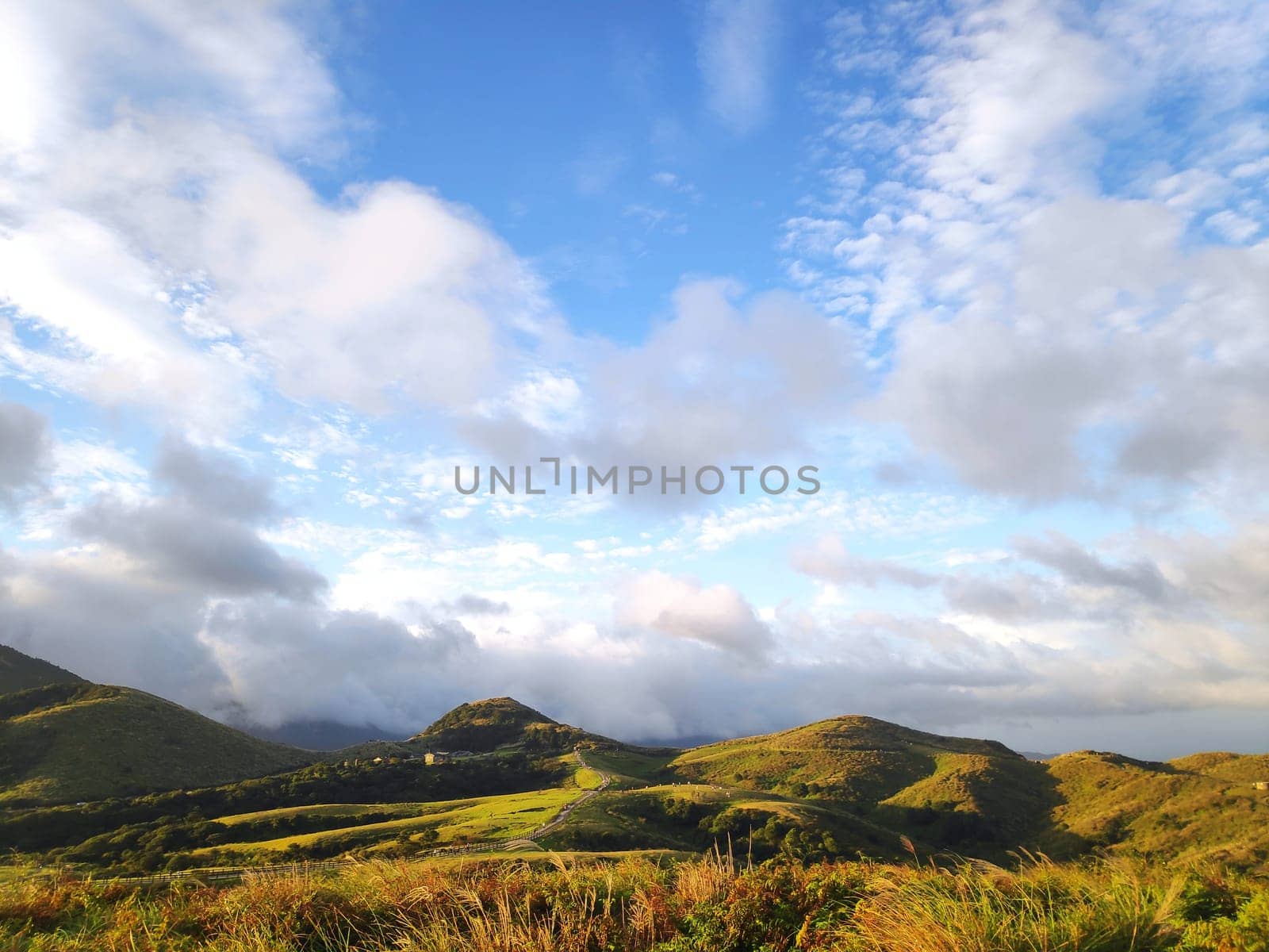 Qingtiangang, Taiwan-Oct 15, 2021: The natural source of alpine grasses is at Shangshan in Taipei City, Taipei City, Taiwan